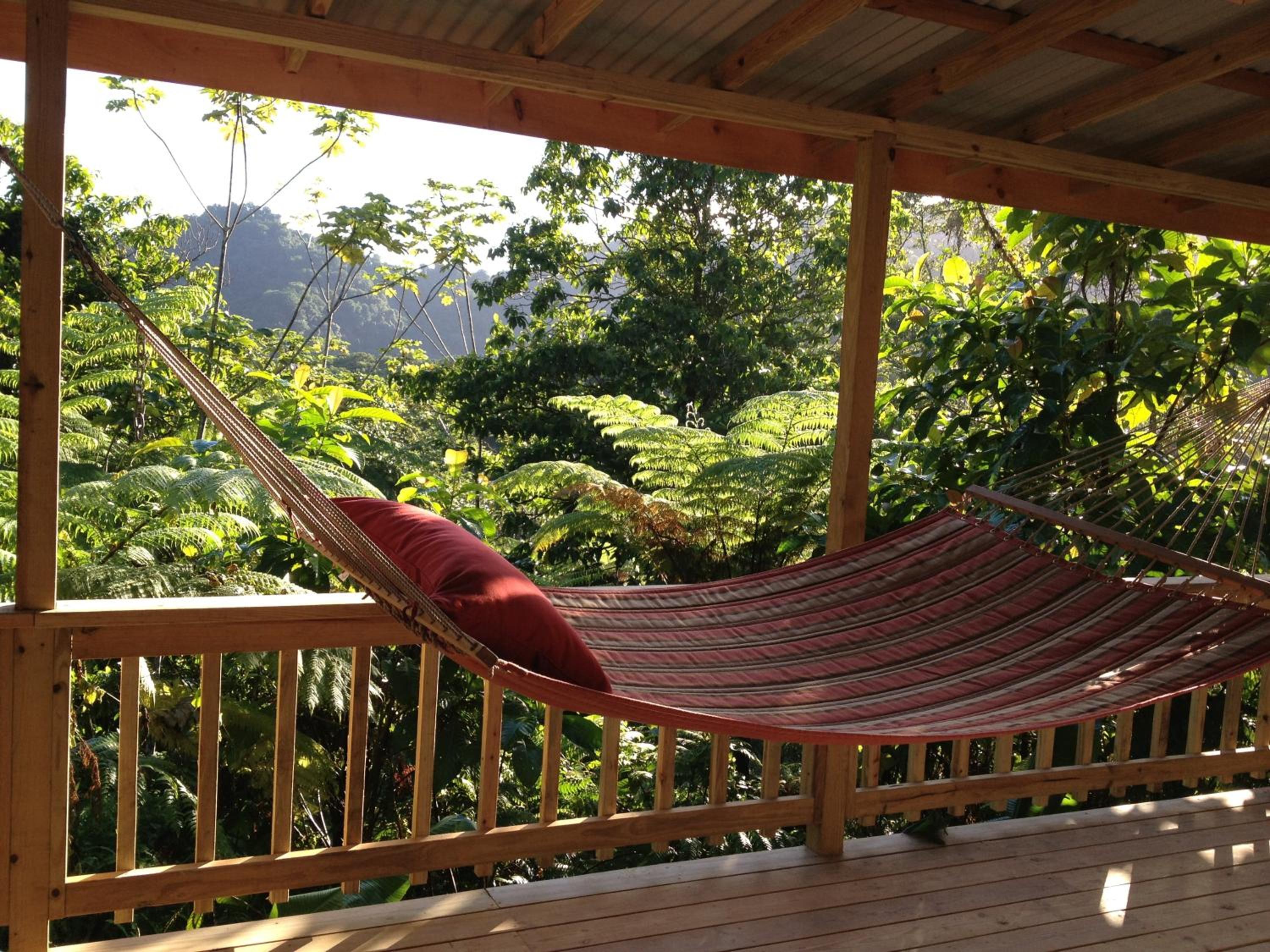 Roots Jungle Retreat