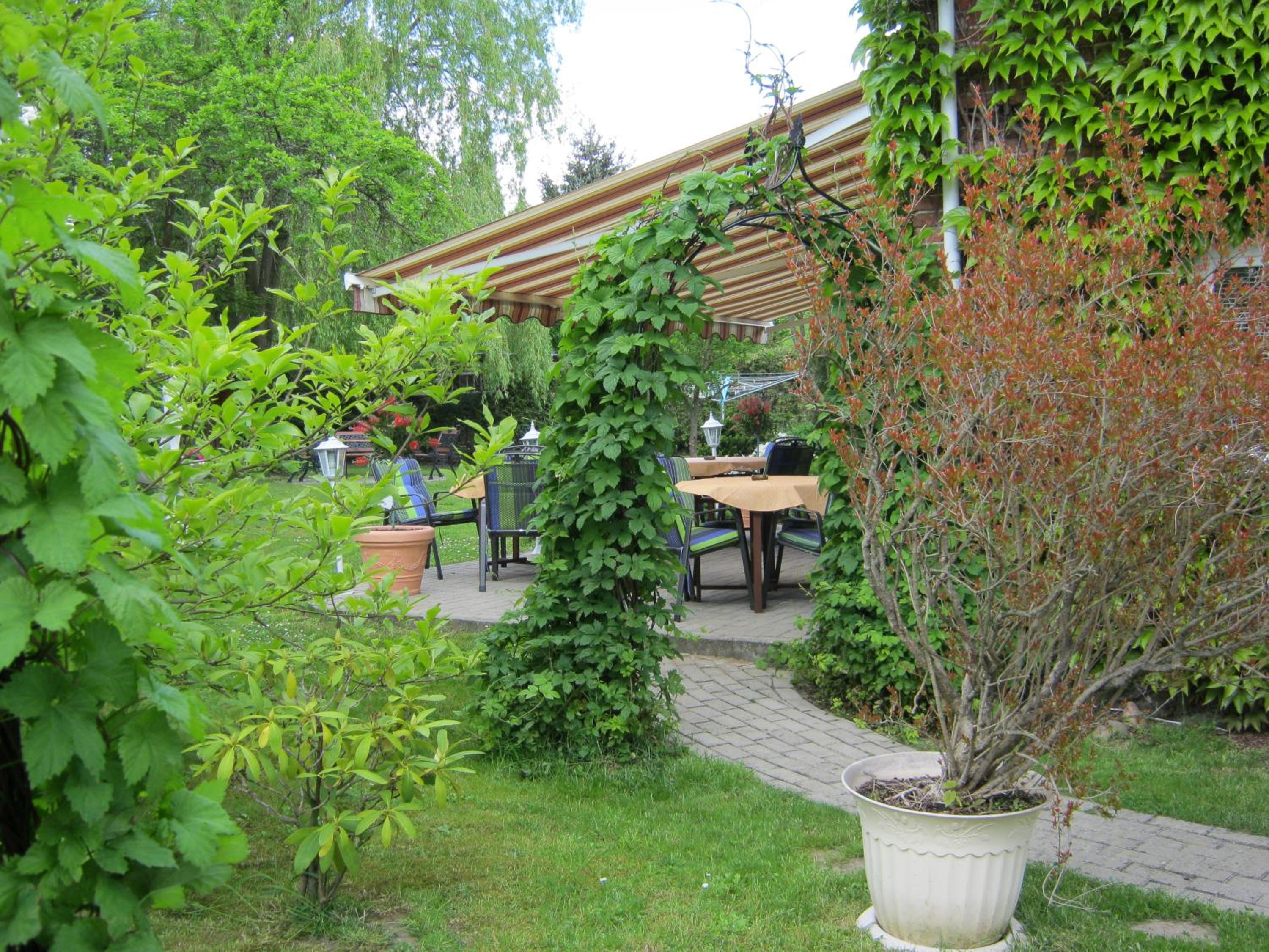 Photo 41
