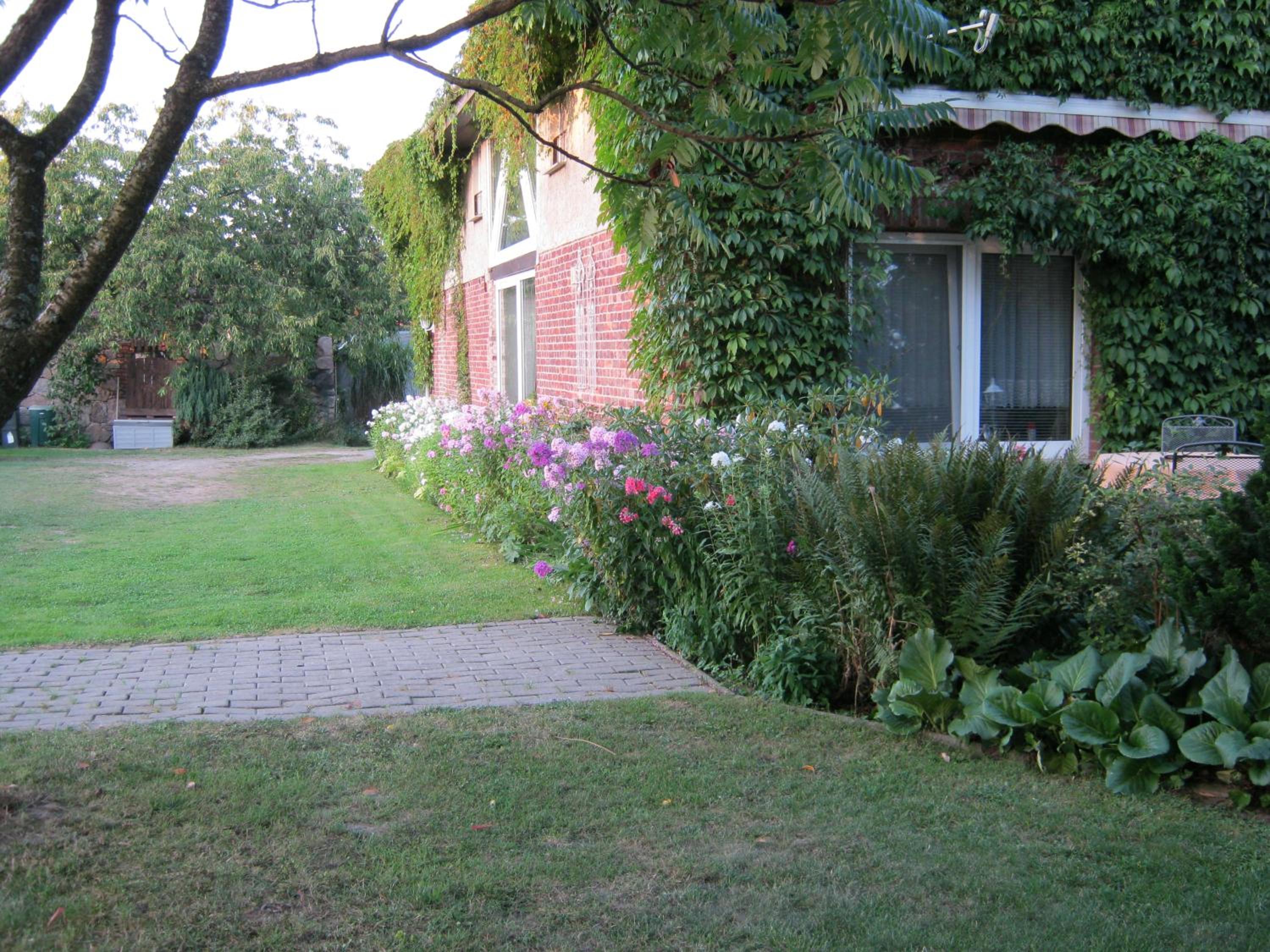 Photo 42