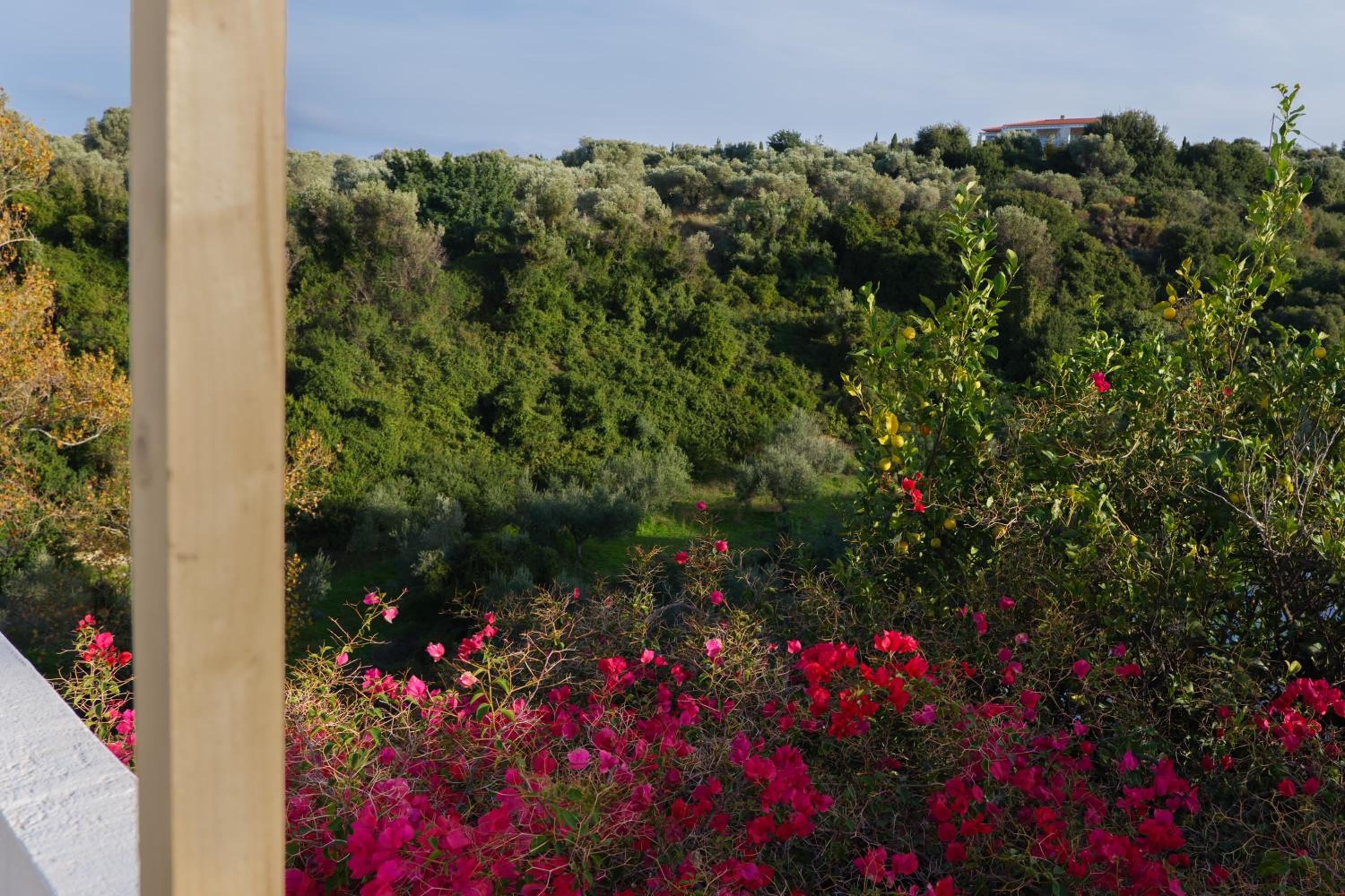 Villa Lira The Hidden Gem Above the Sea