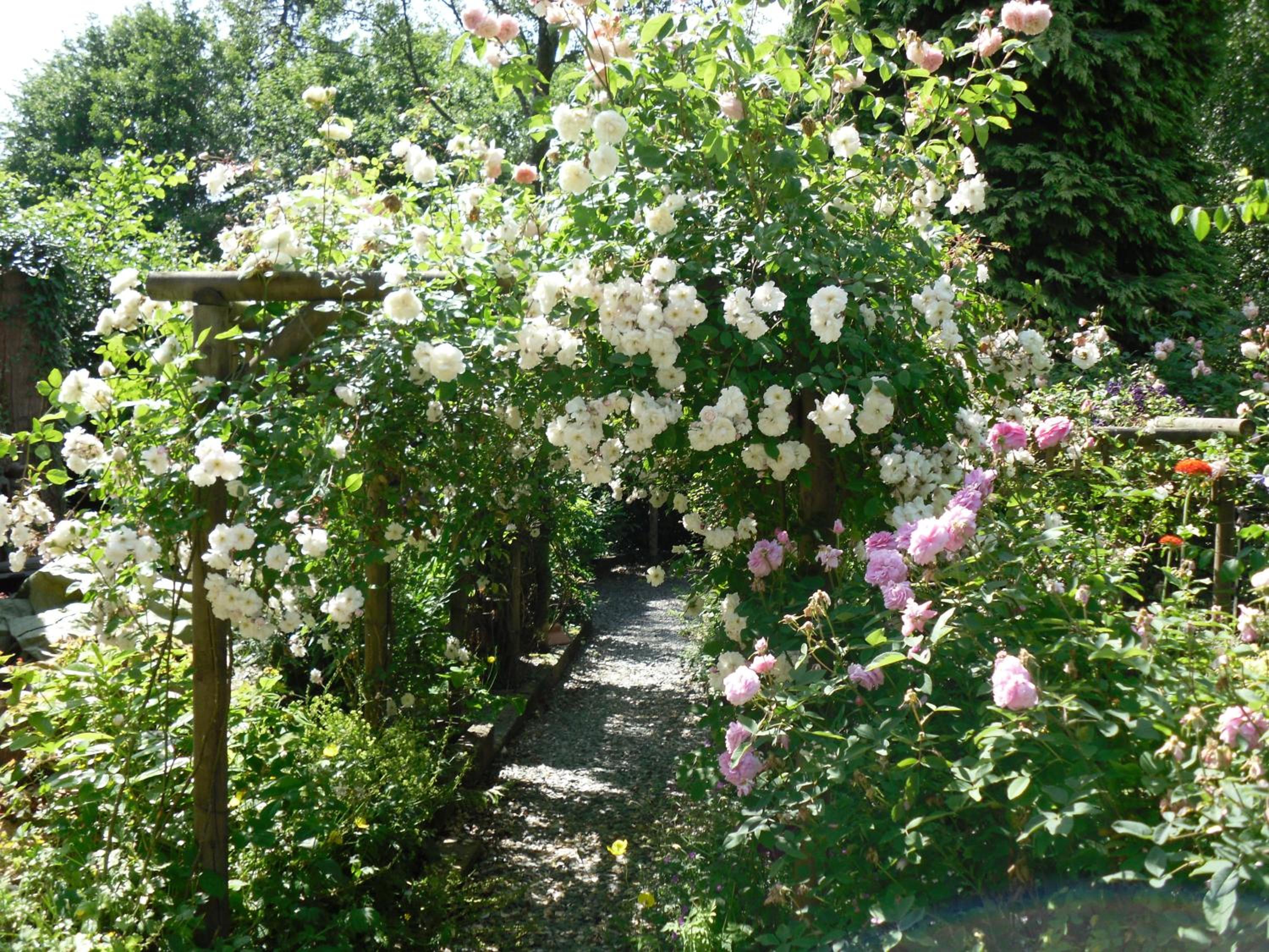 Storrs Gate House B & B No pets Allowed