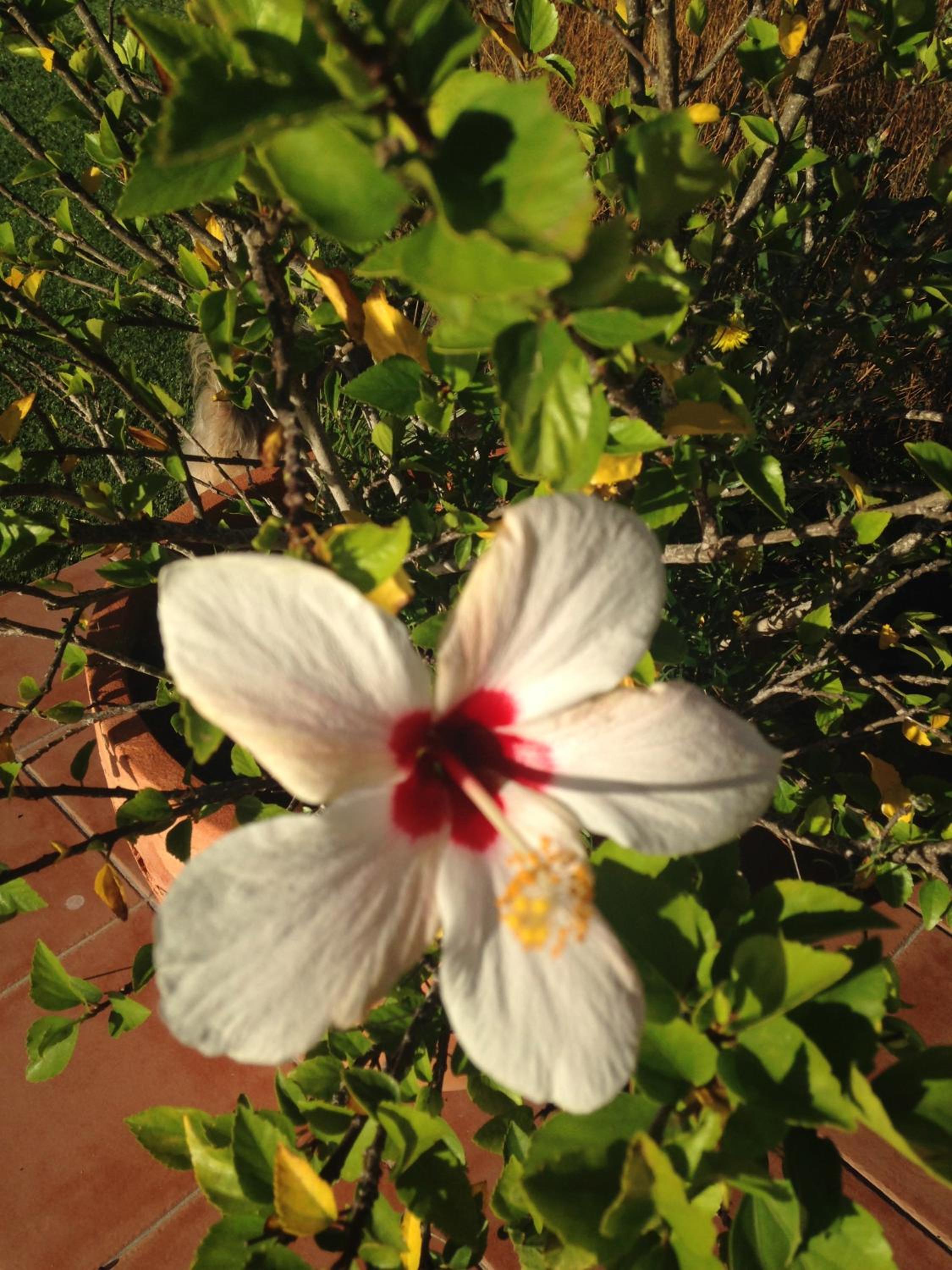 Photo 63