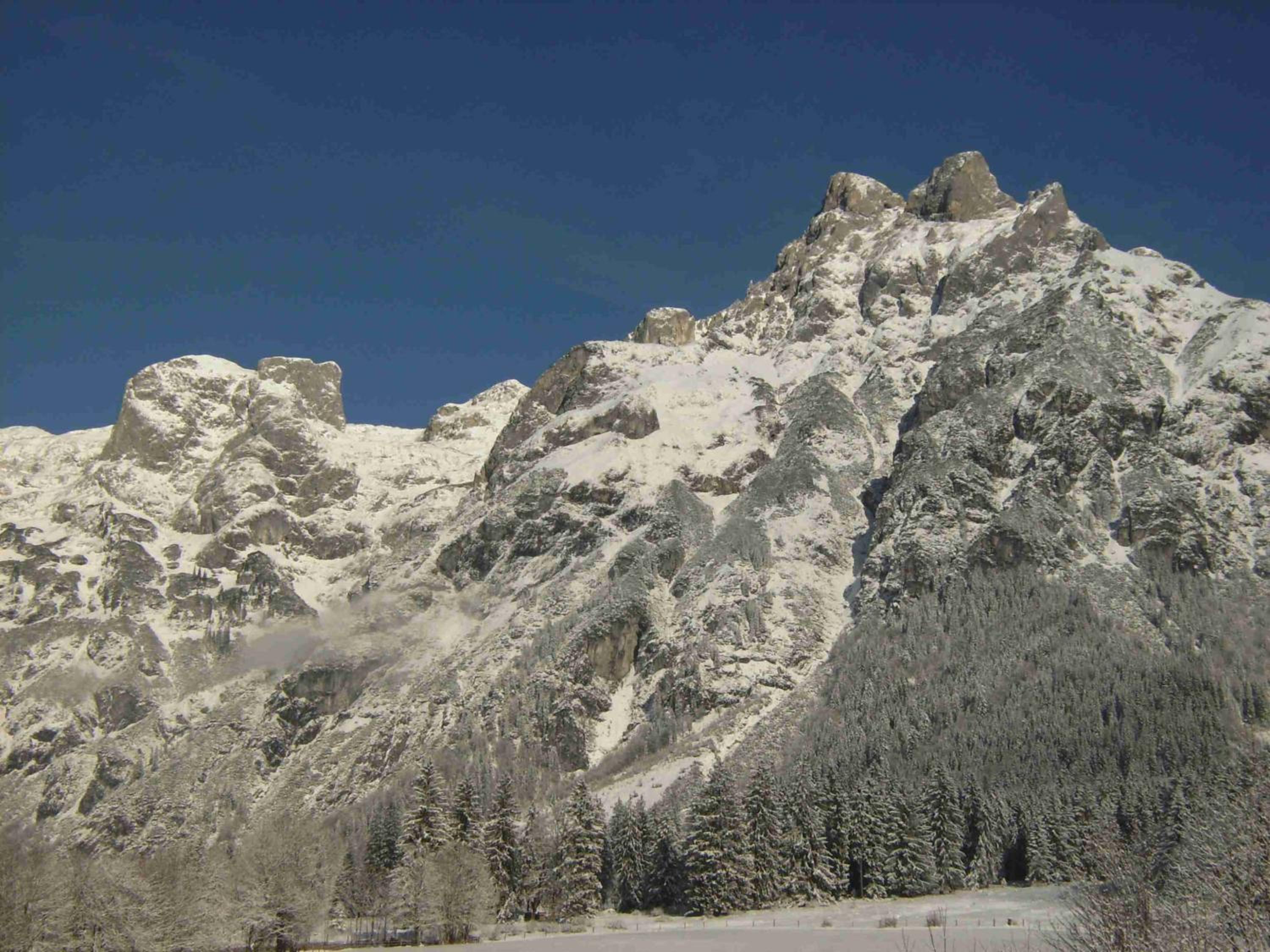 Bio Bauernhof Vorderoberlehen