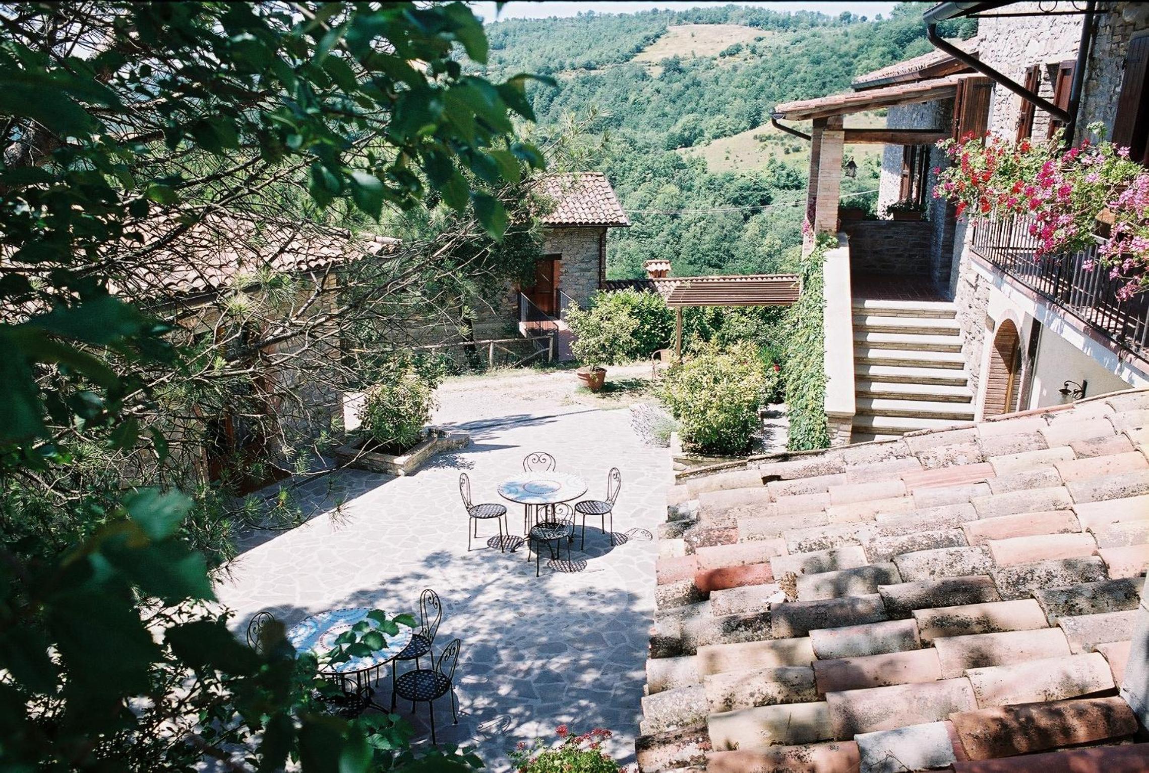 Photo 41