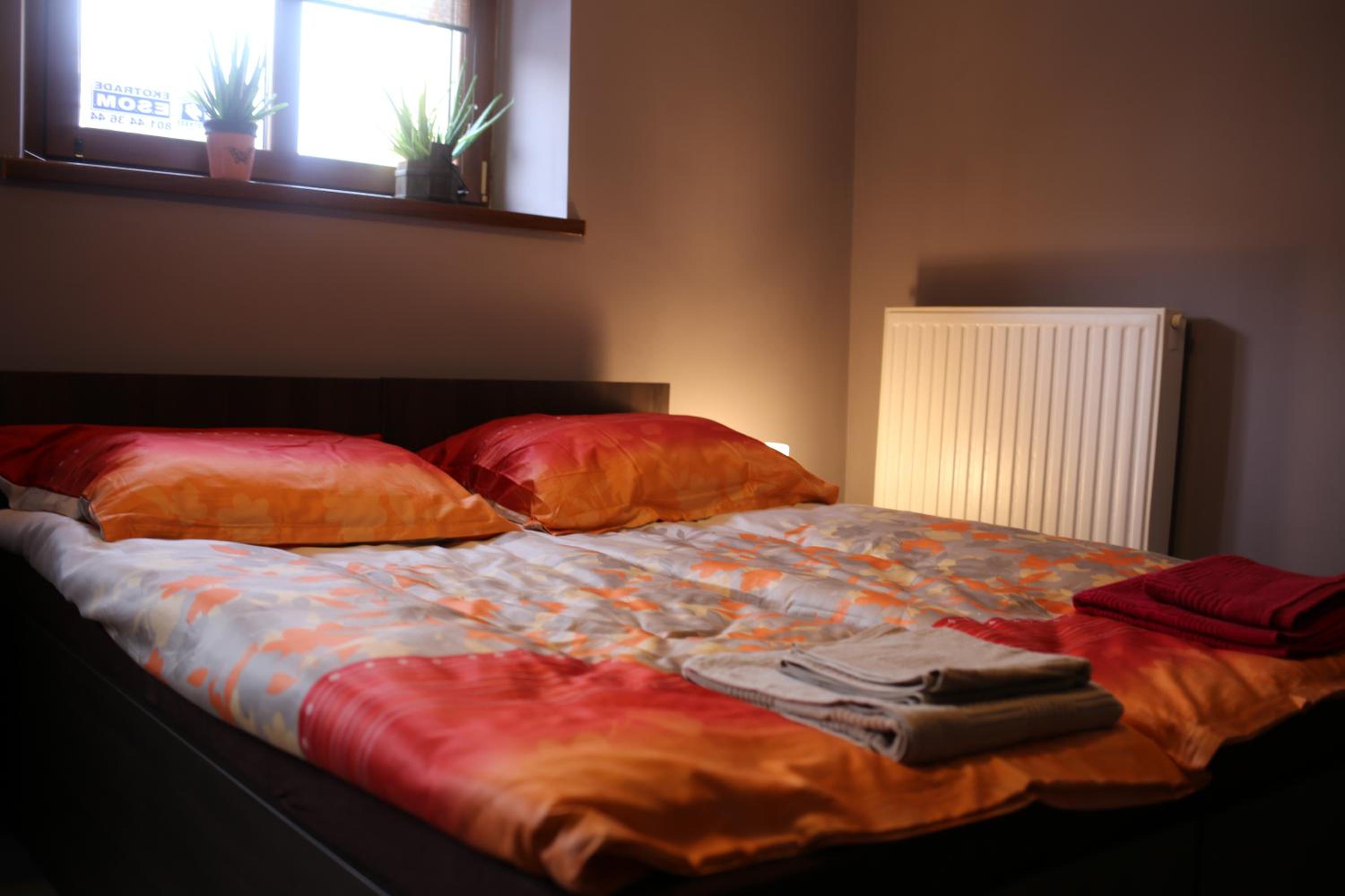 Photo 51