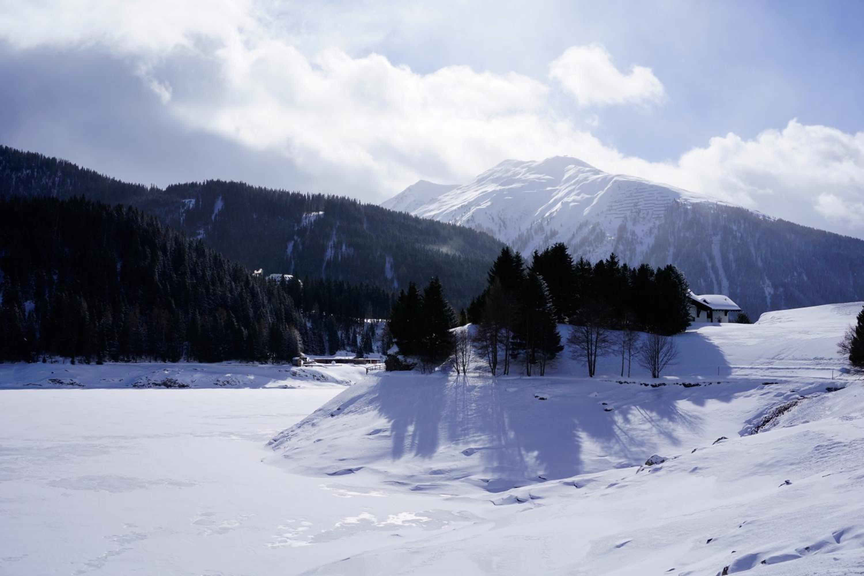 Shima-Davos