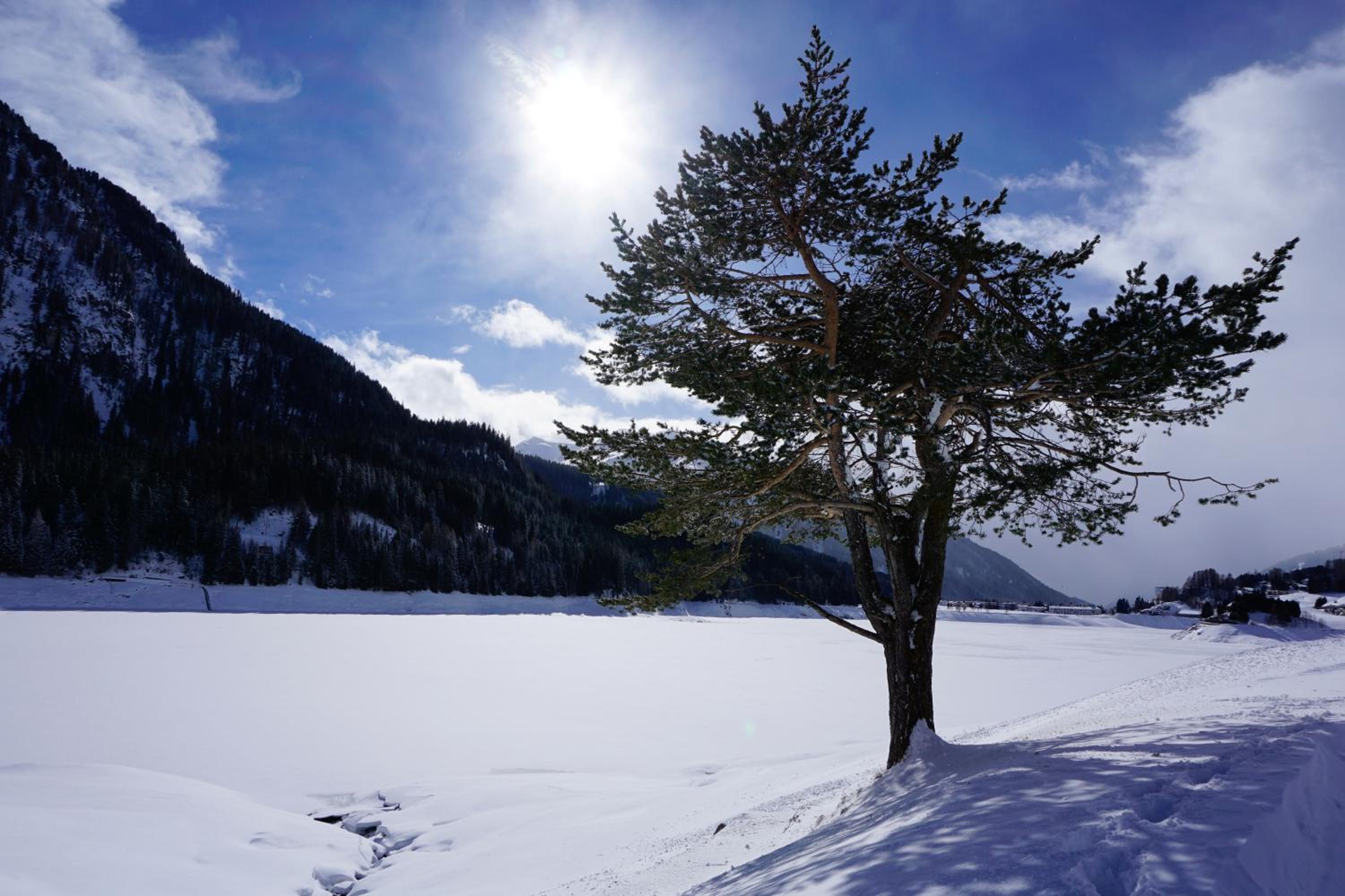 Shima-Davos