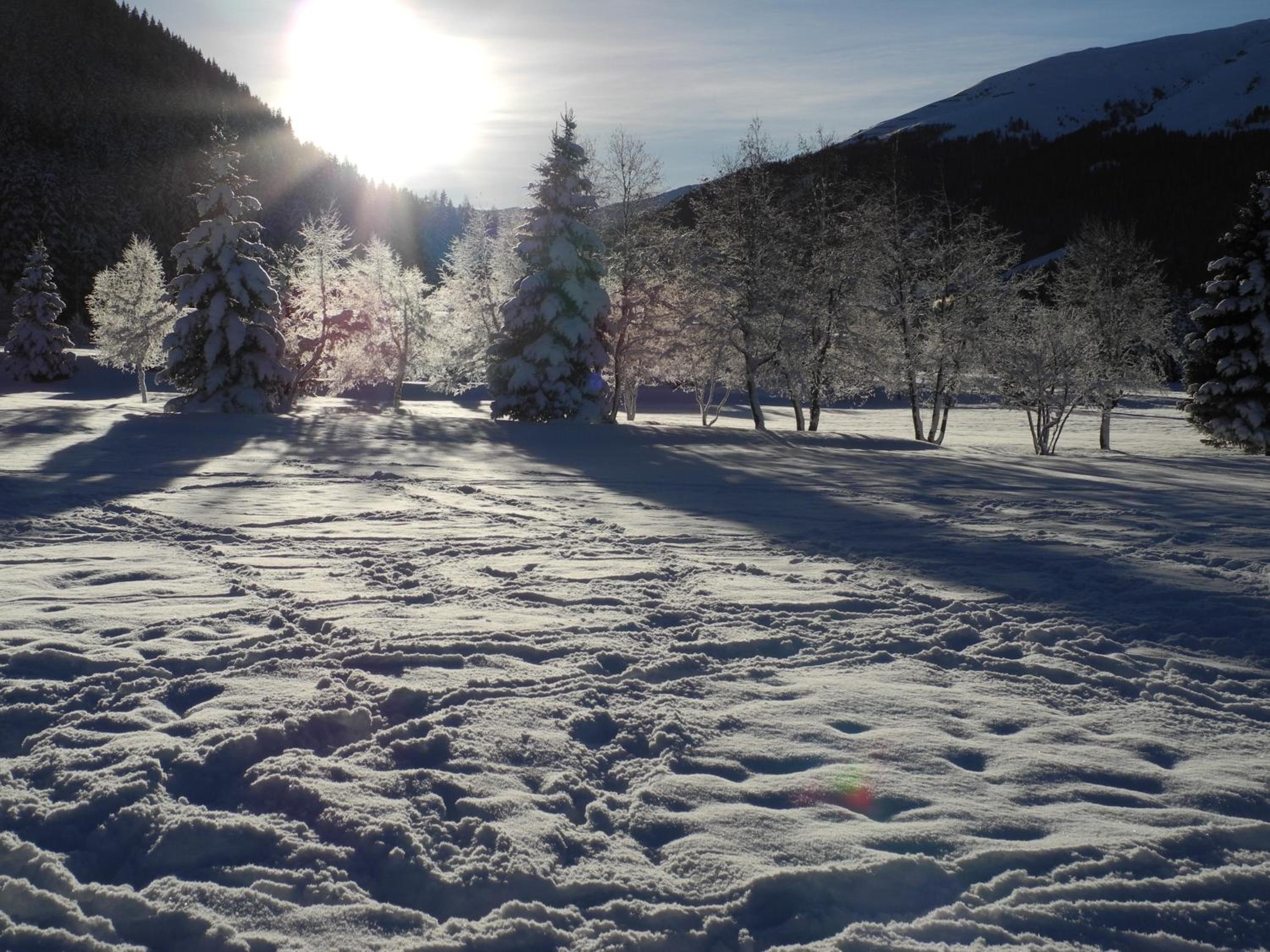 Shima-Davos