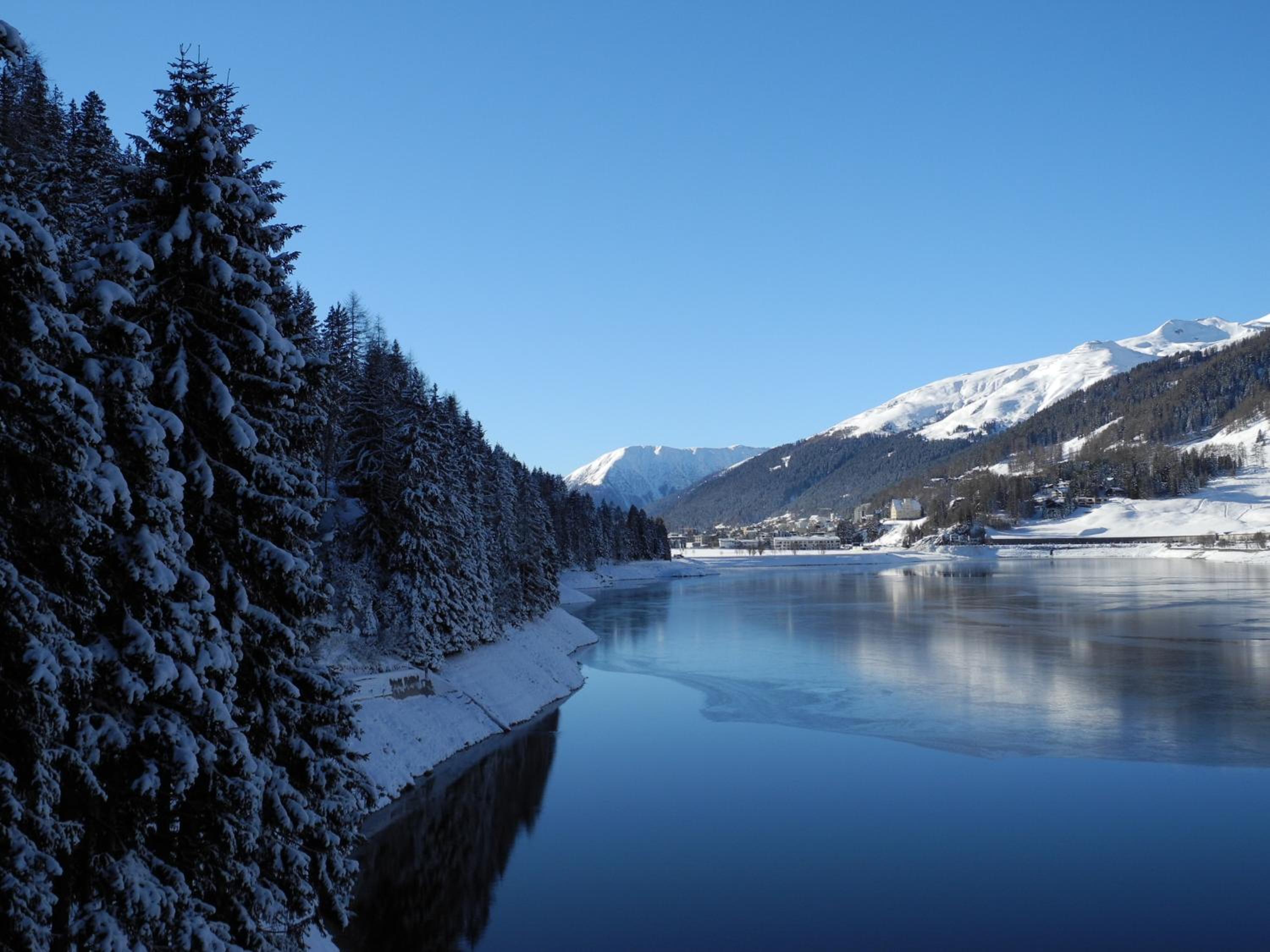 Shima-Davos
