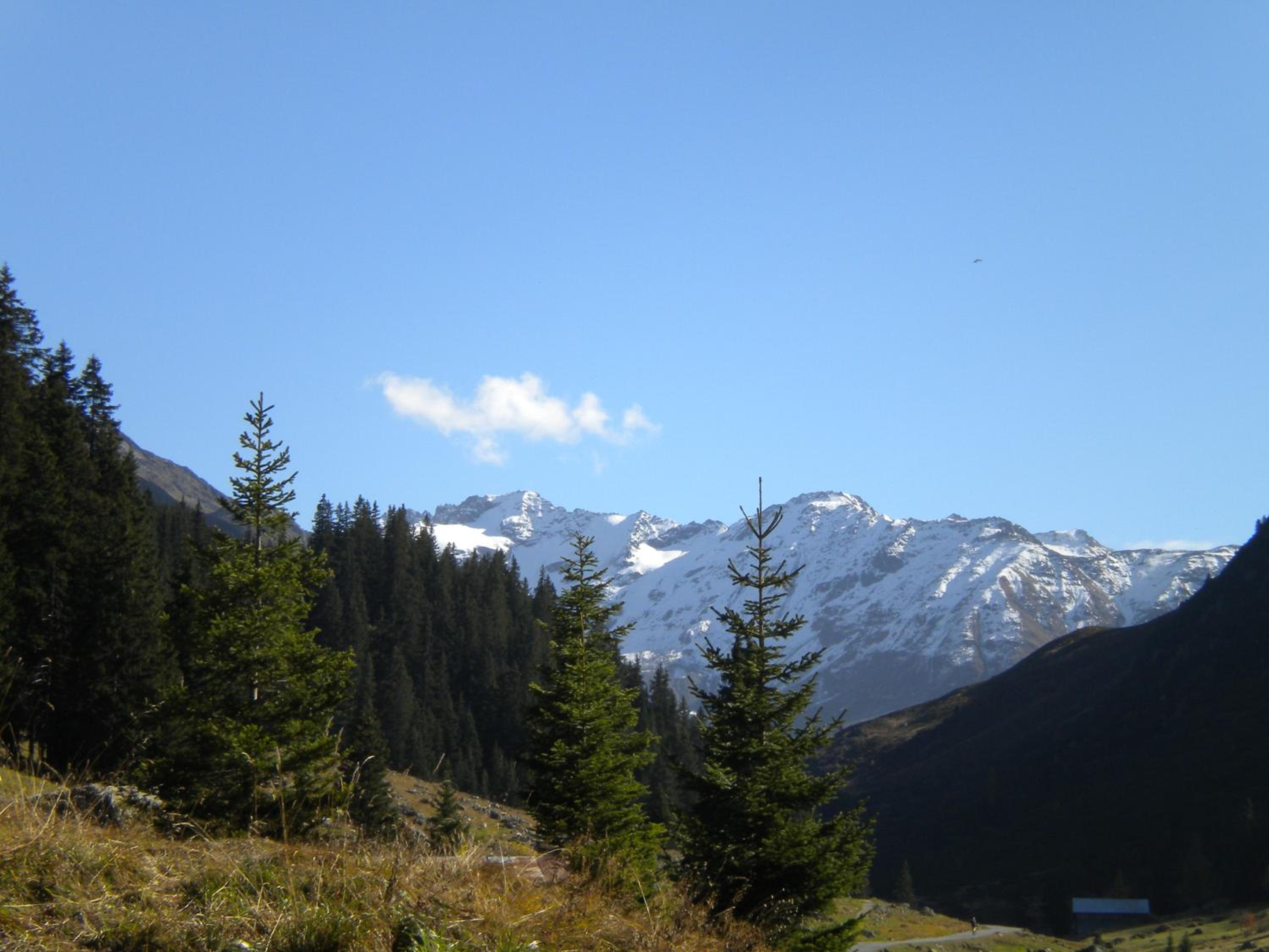 Shima-Davos