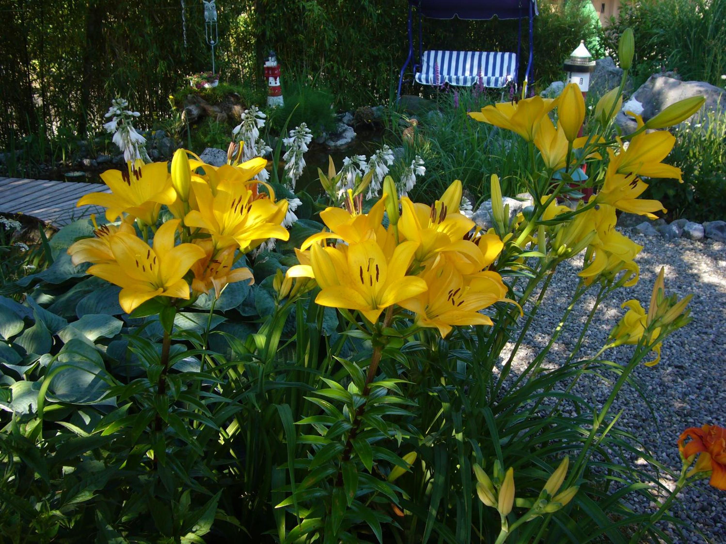 Reni's Oase am Bodensee