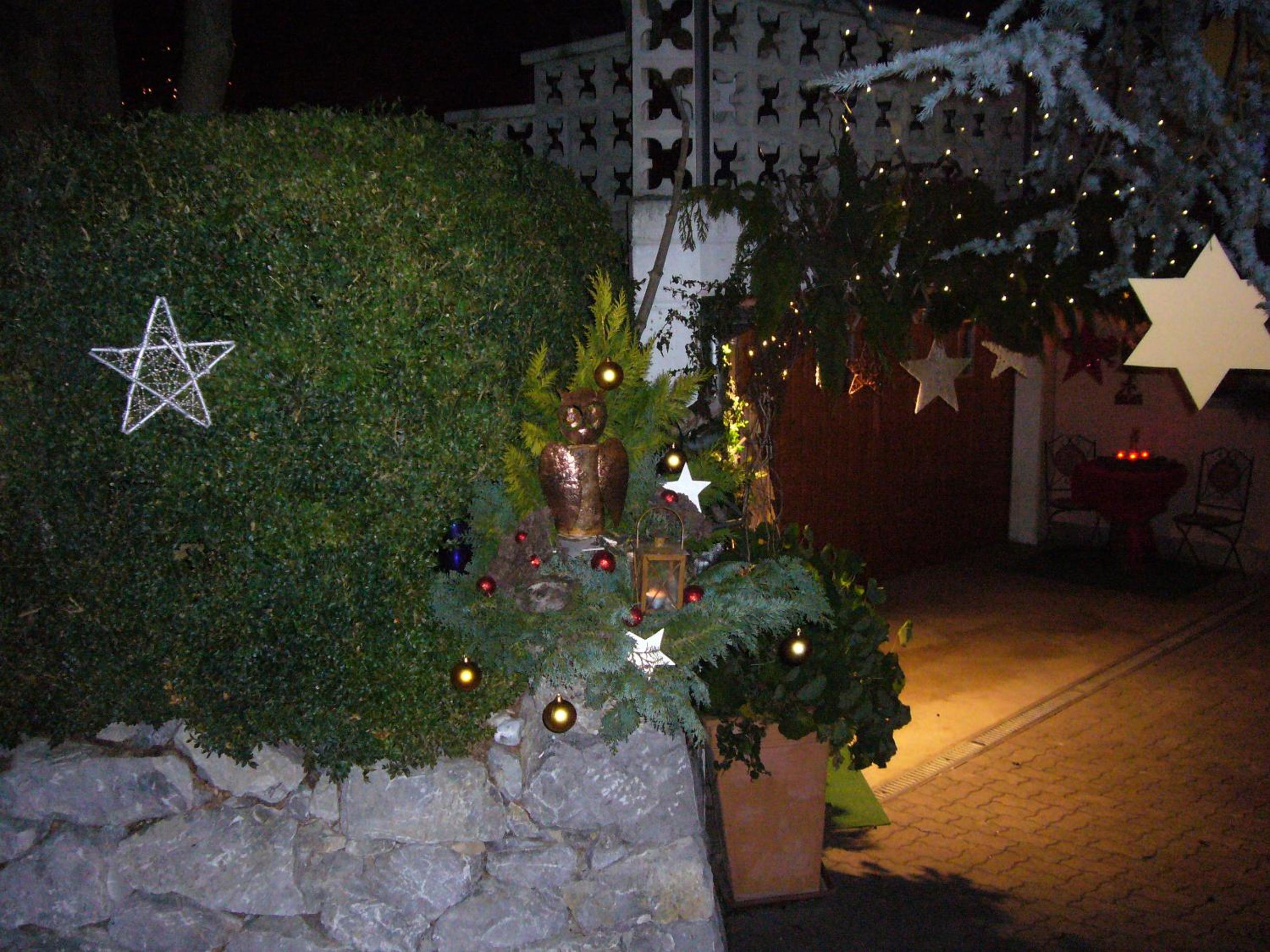 Reni's Oase am Bodensee
