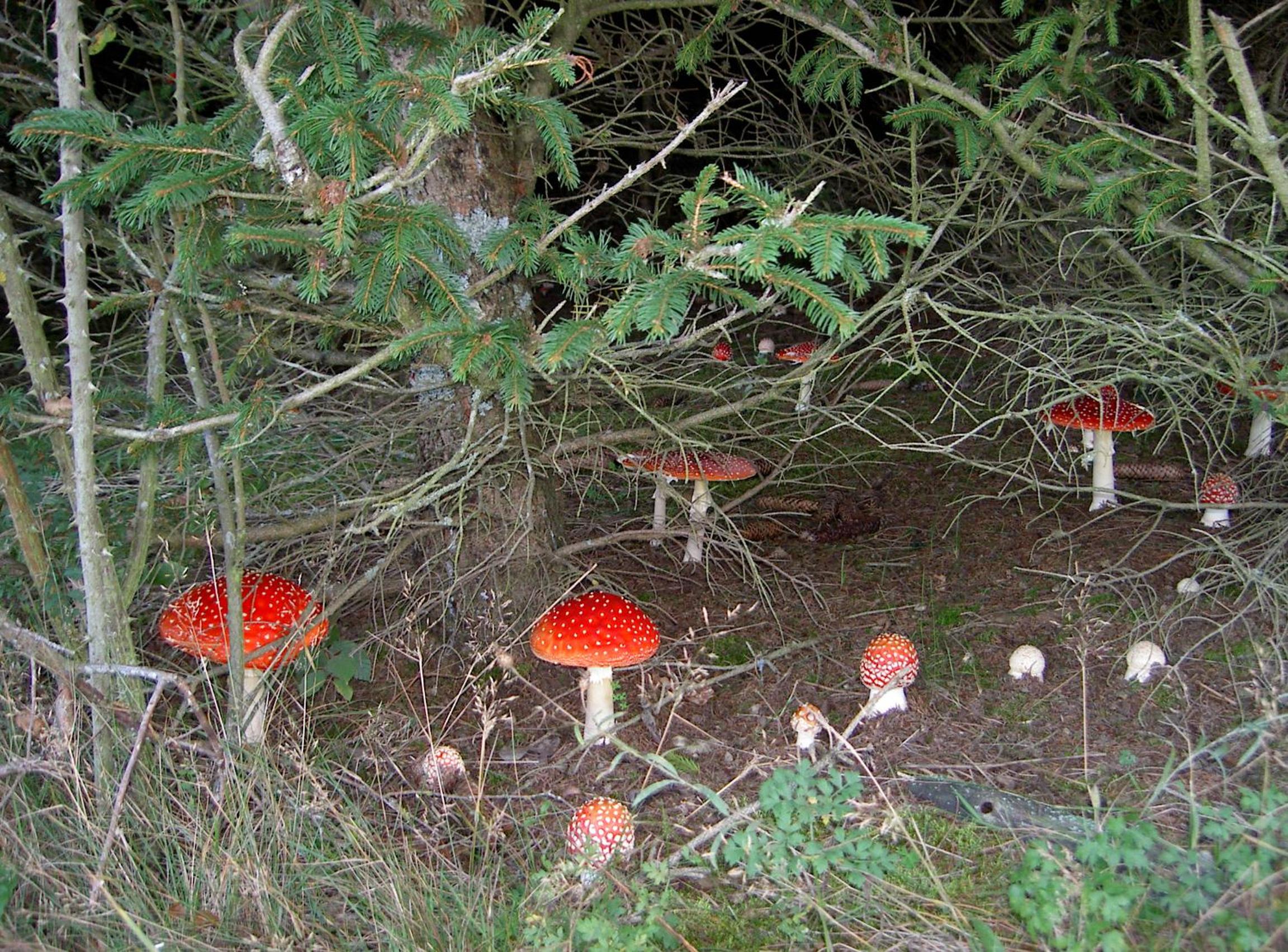 Photo 10