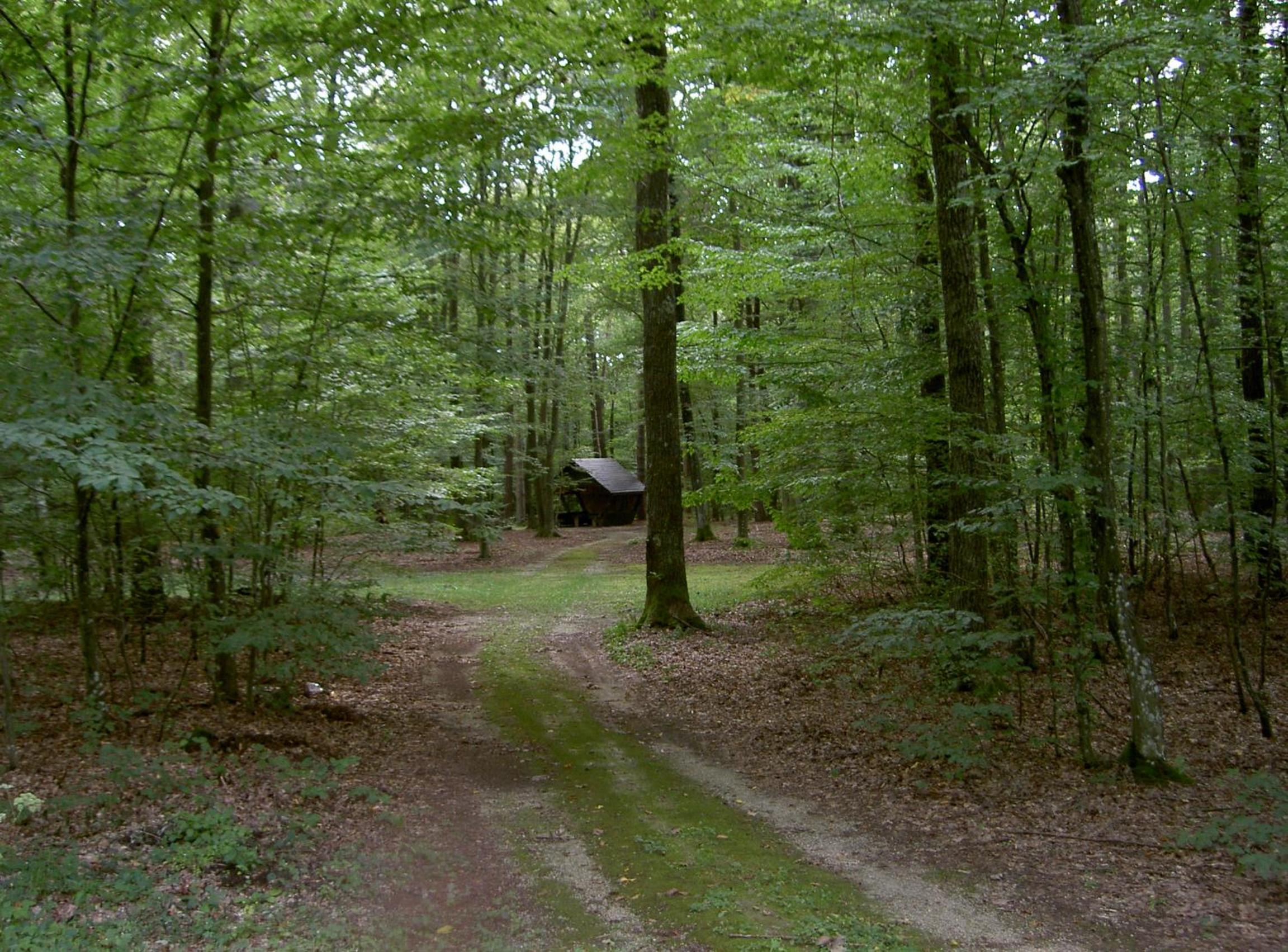 Photo 30
