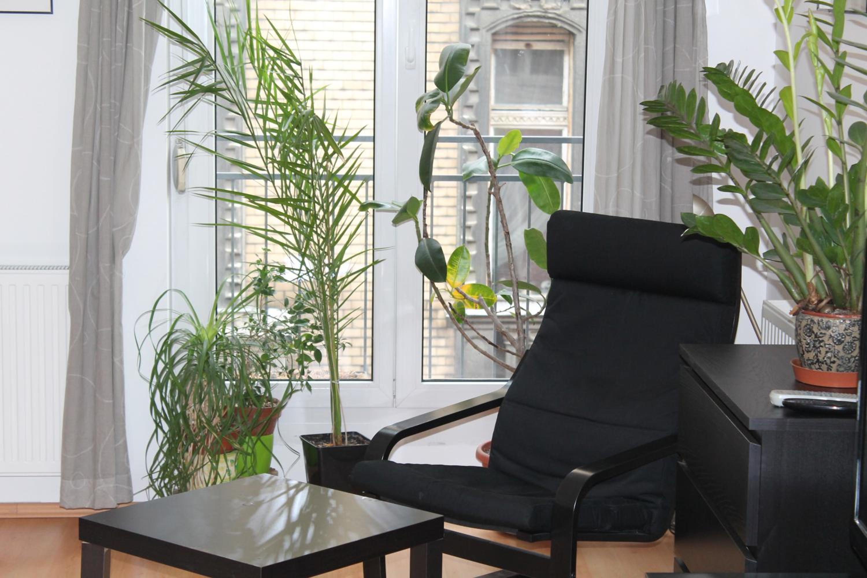 Erkel Apartment view 2