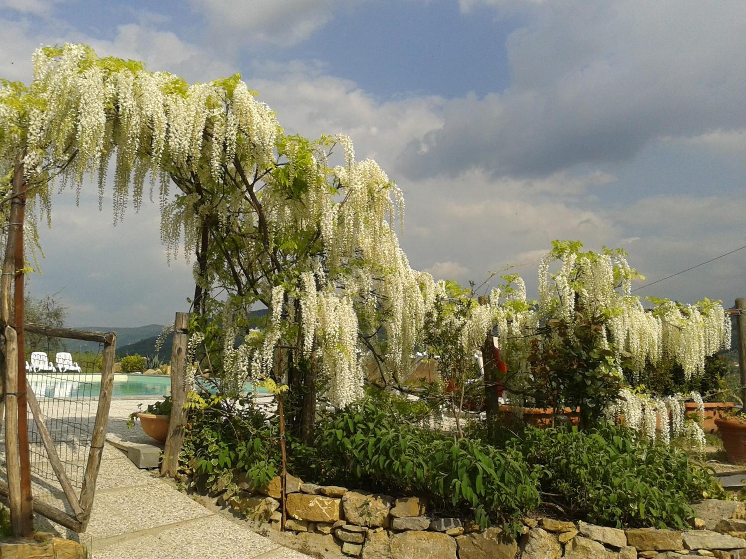 Agriturismo Biologico Poggiopiano