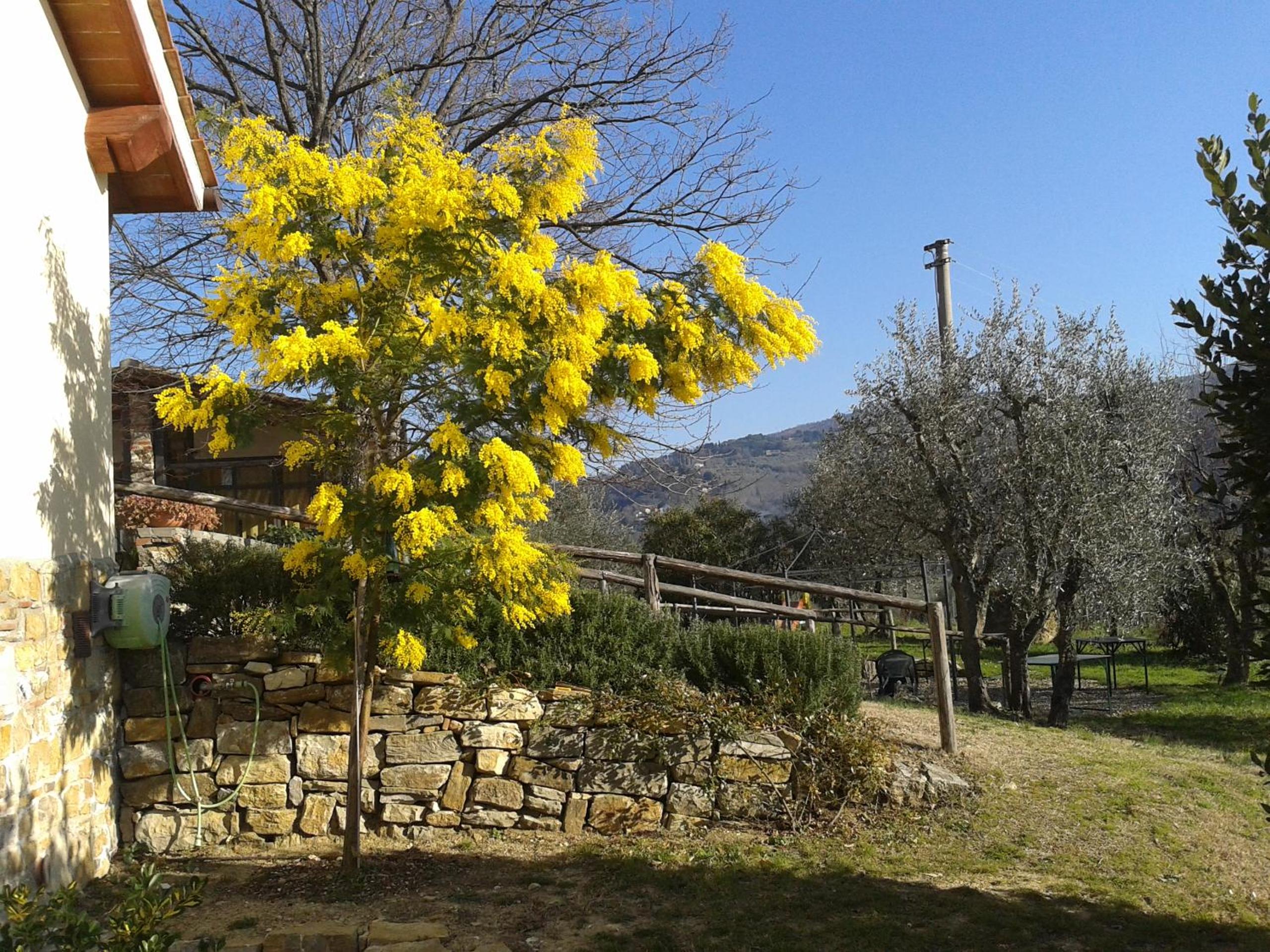 Agriturismo Biologico Poggiopiano
