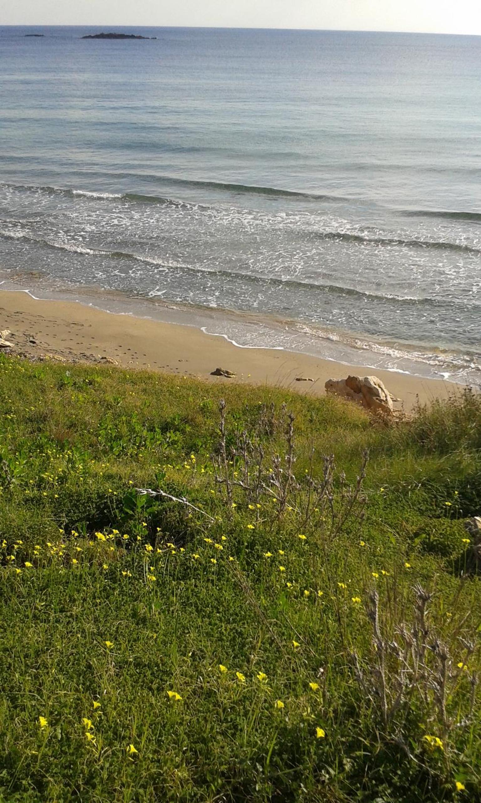 Photo 40