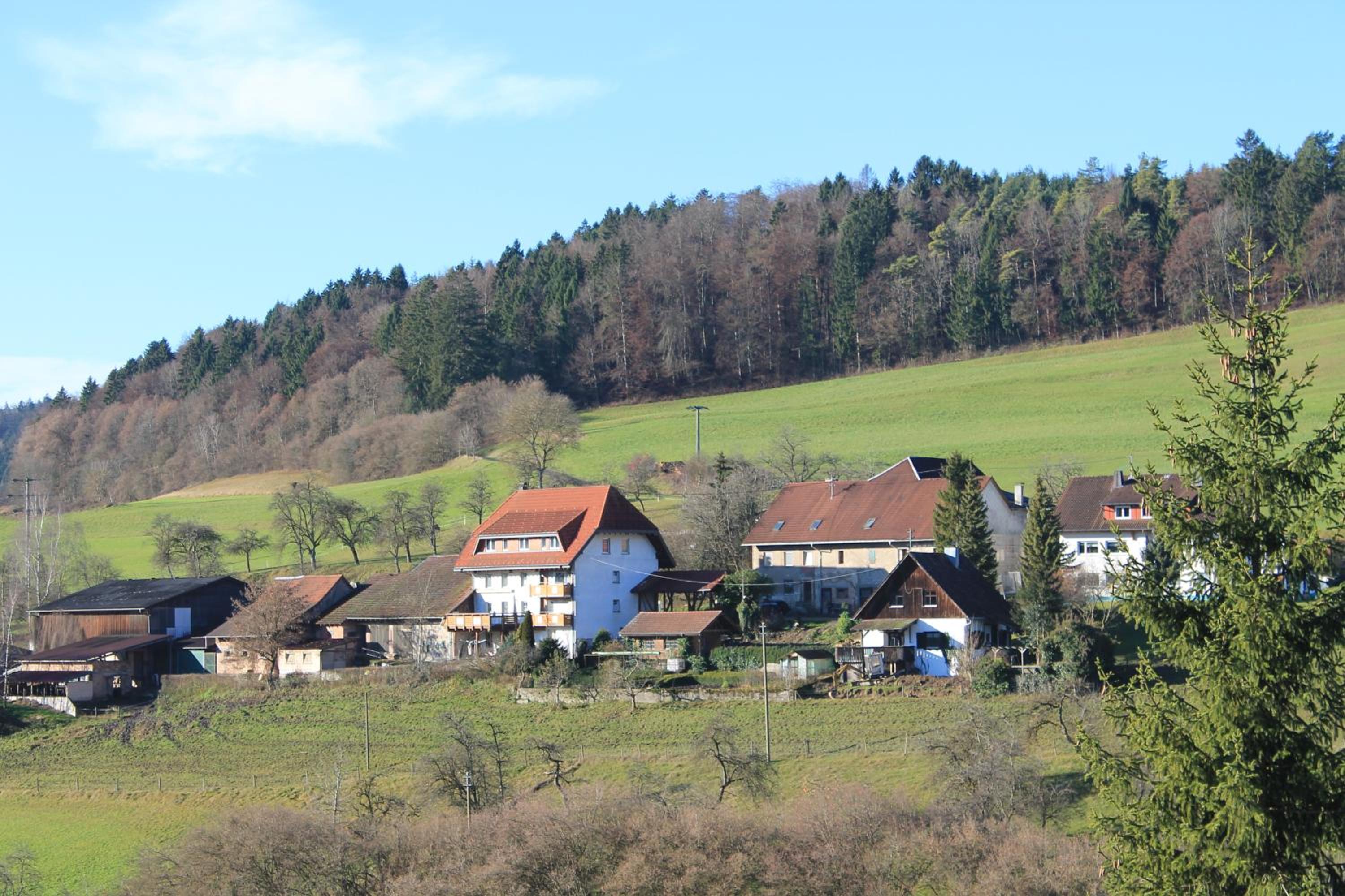 Ferienhaus Aschoff