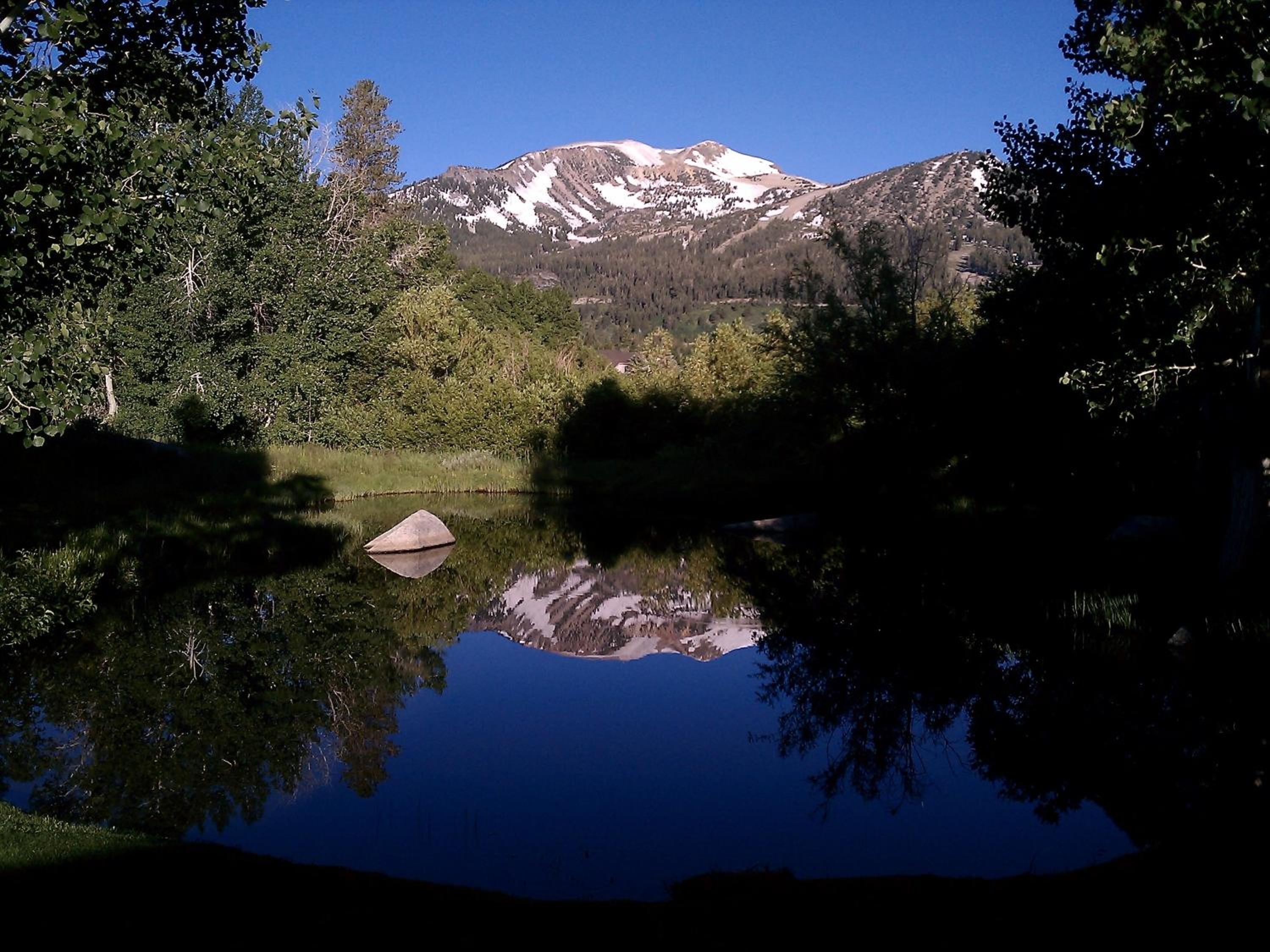 Snowcreek Resort Vacation Rentals view 3