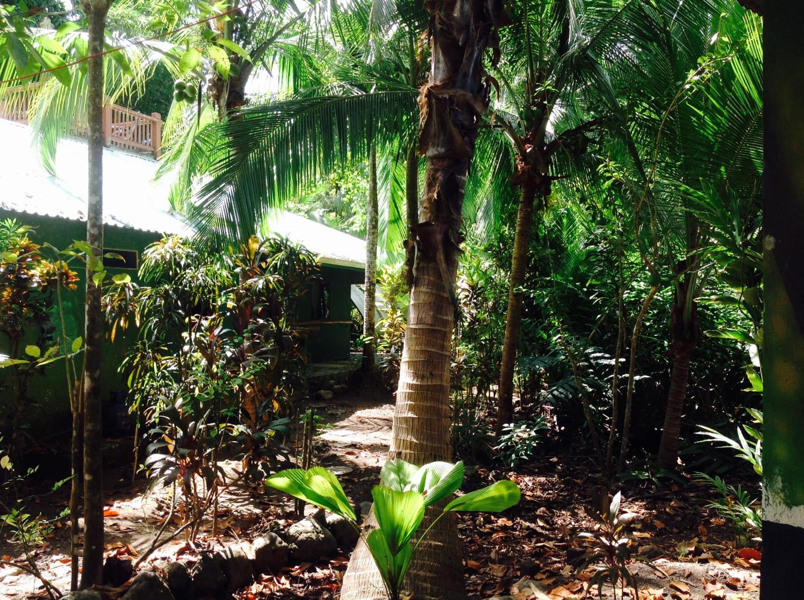 Casa Manglar Villa
