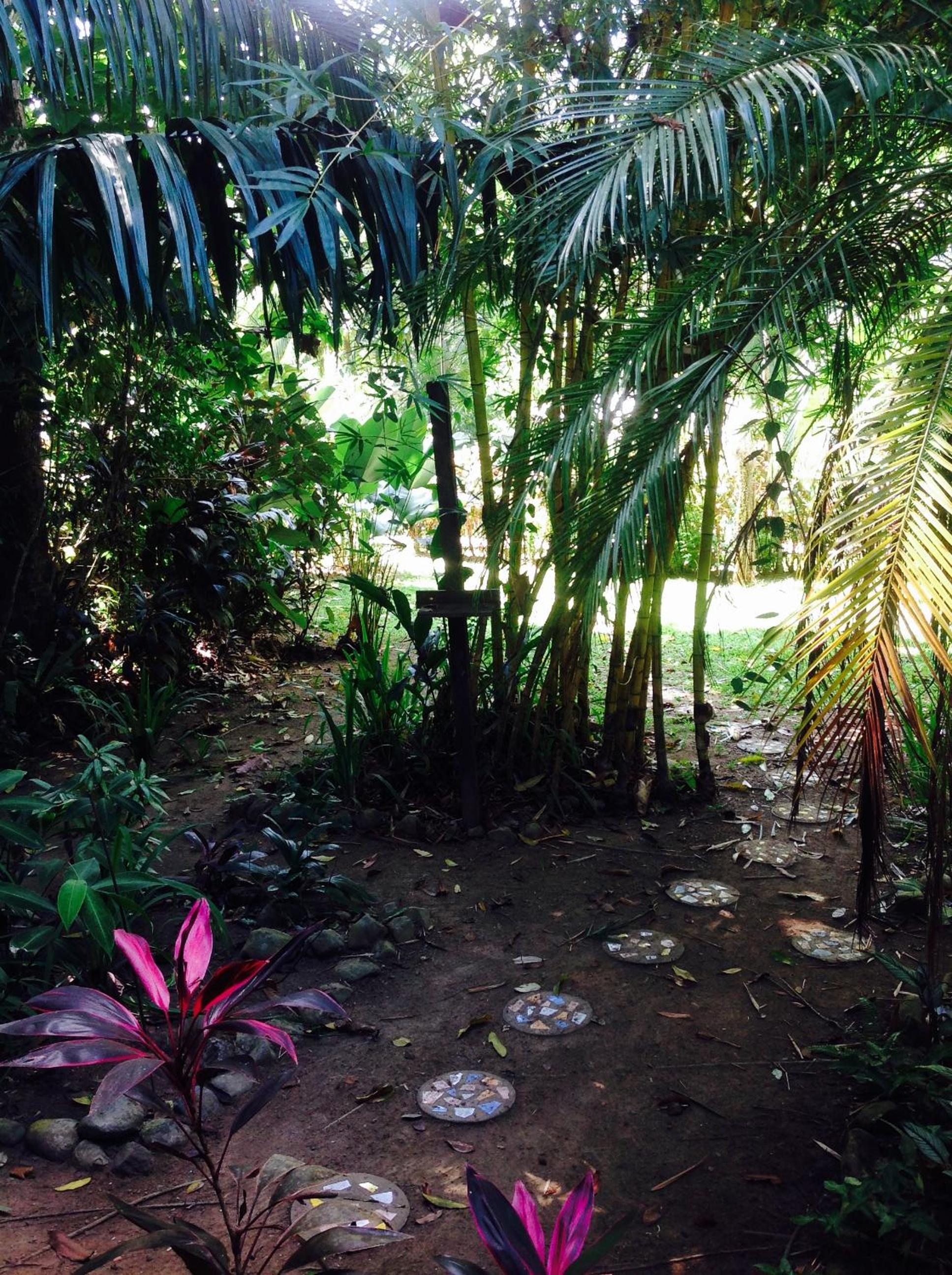 Casa Manglar Villa