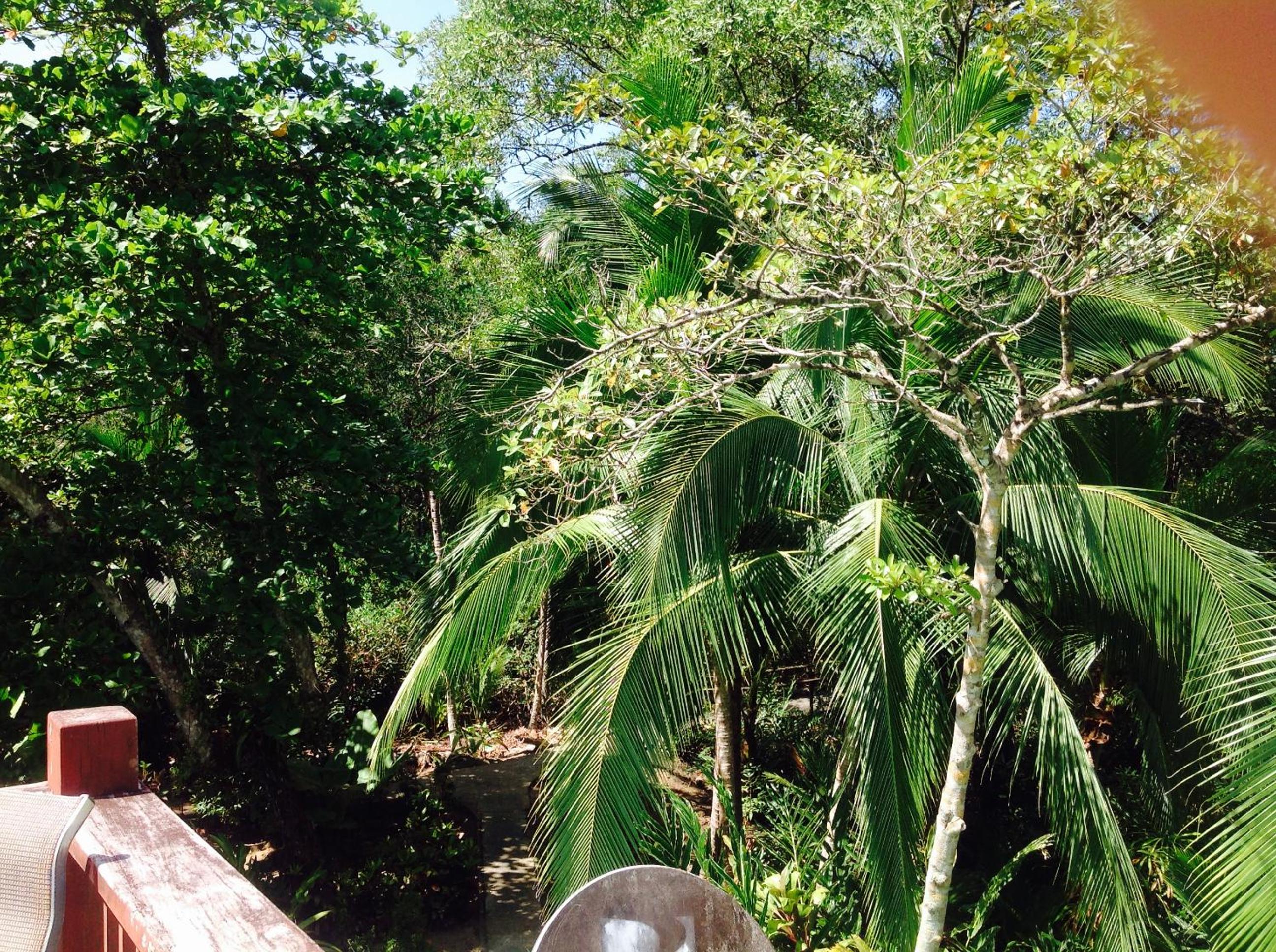 Casa Manglar Villa