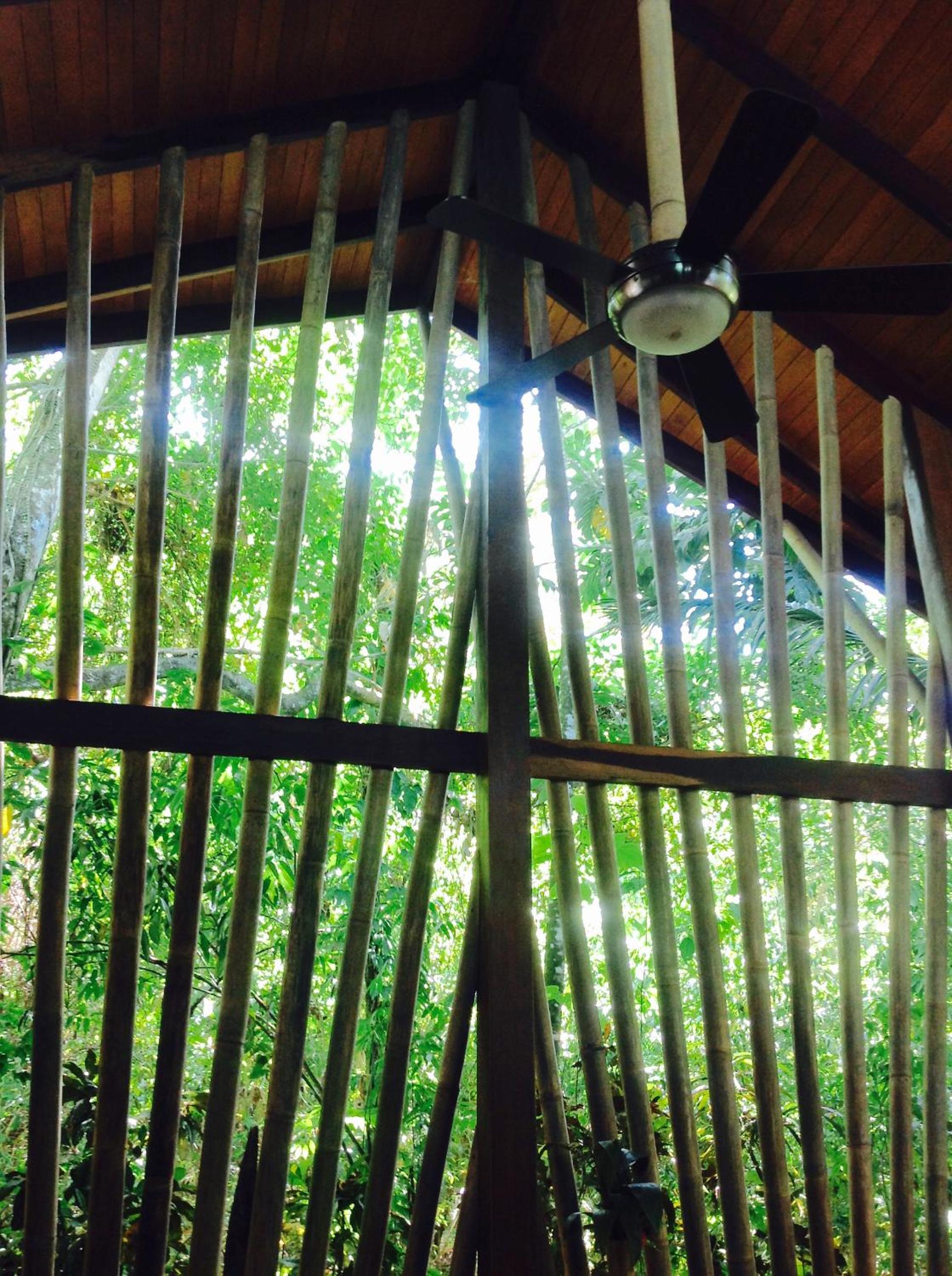 Casa Manglar Villa