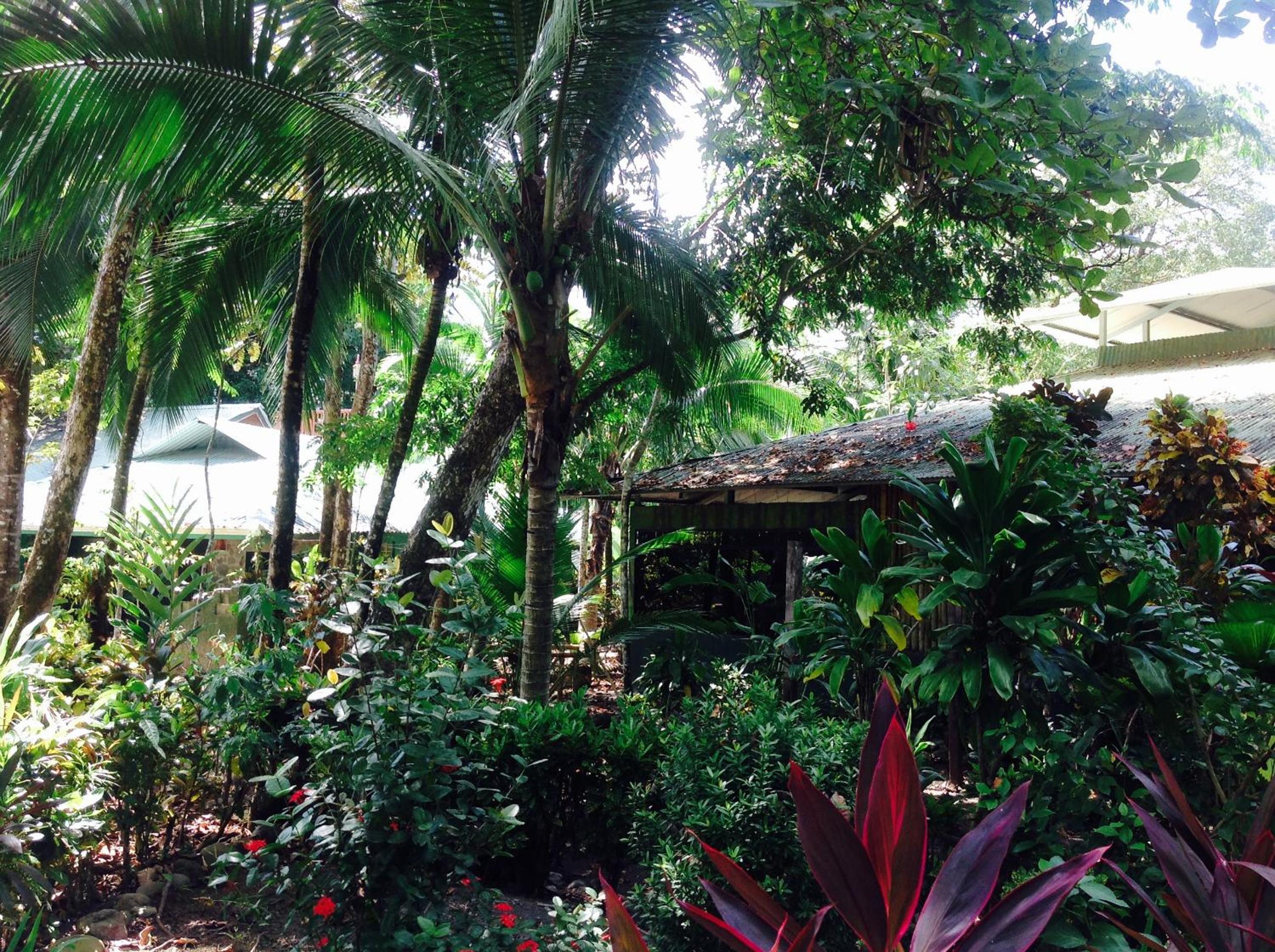 Casa Manglar Villa