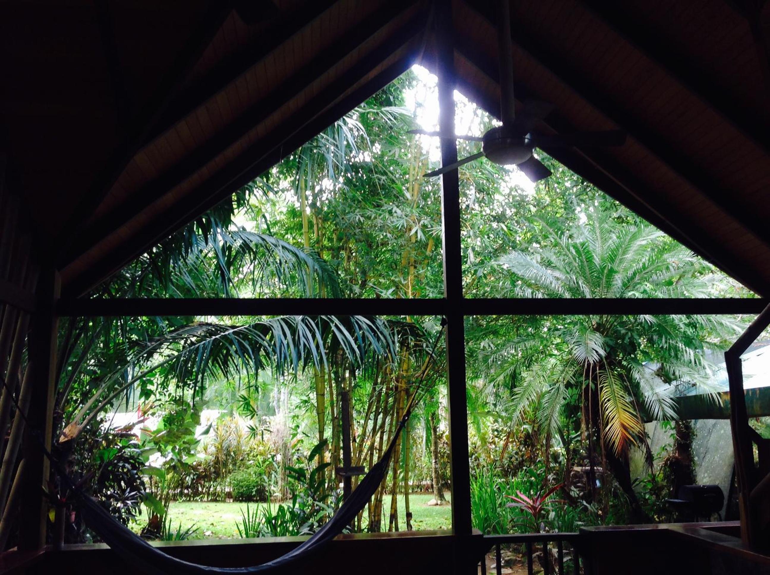 Casa Manglar Villa