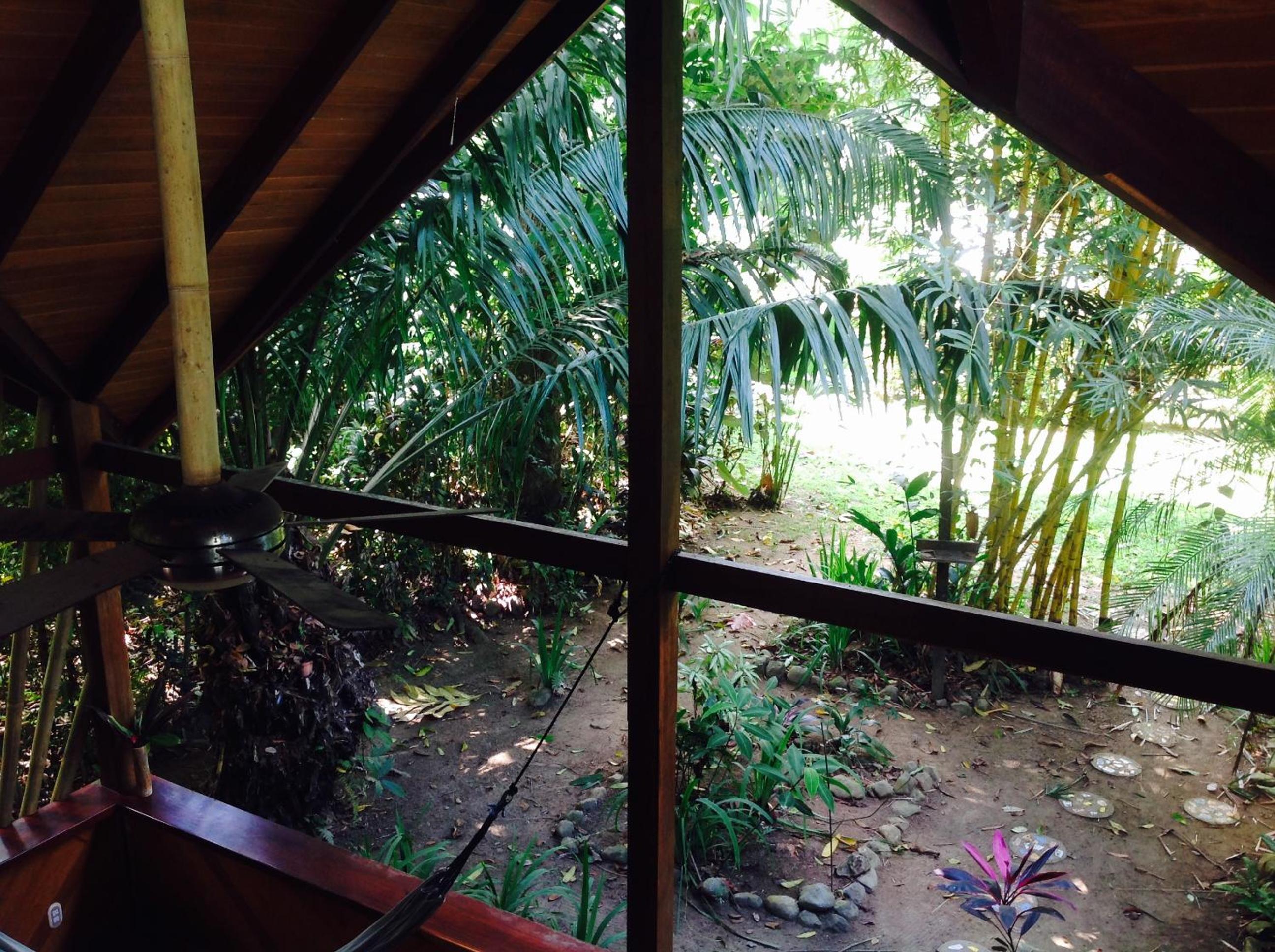 Casa Manglar Villa
