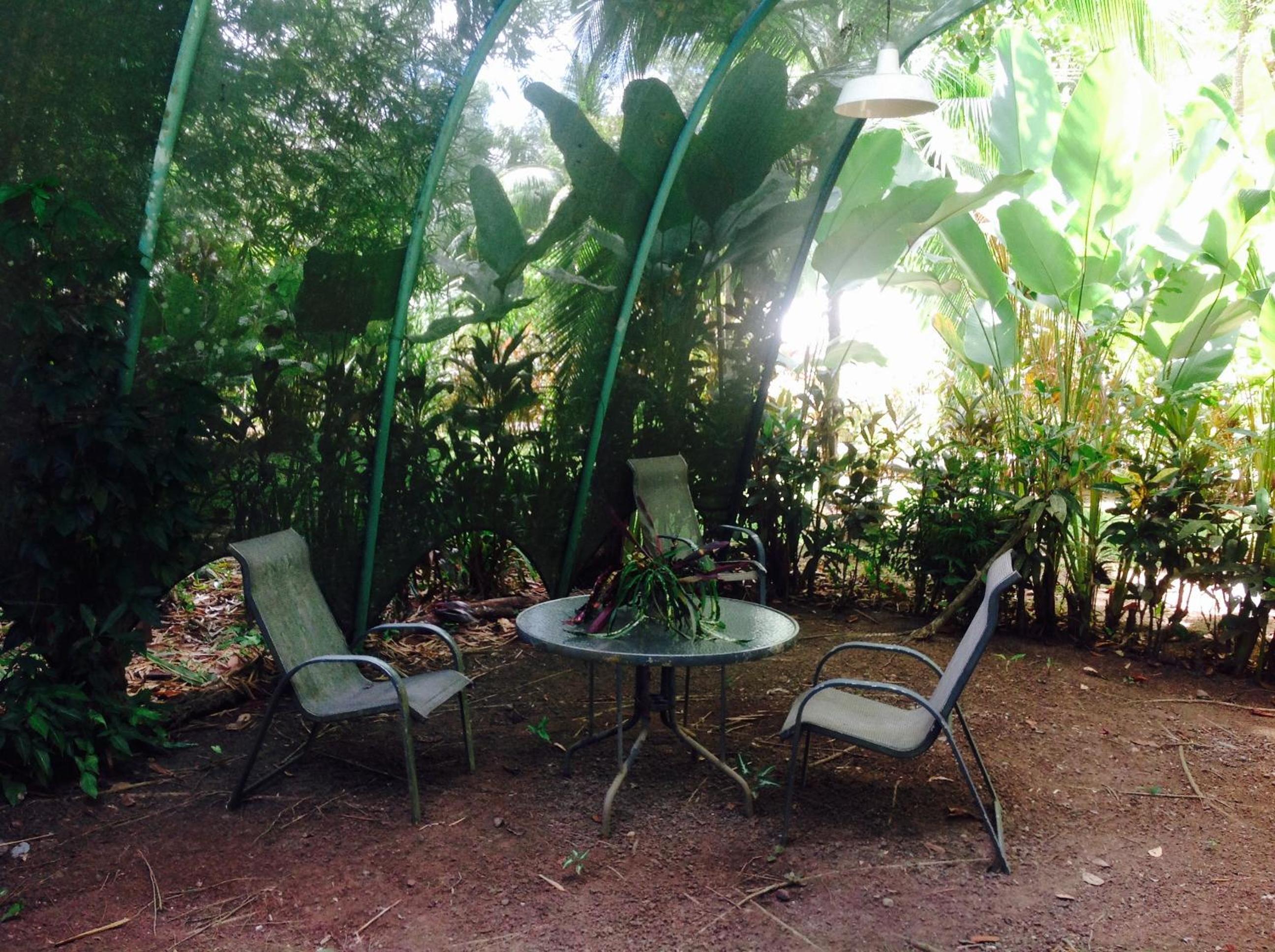 Casa Manglar Villa
