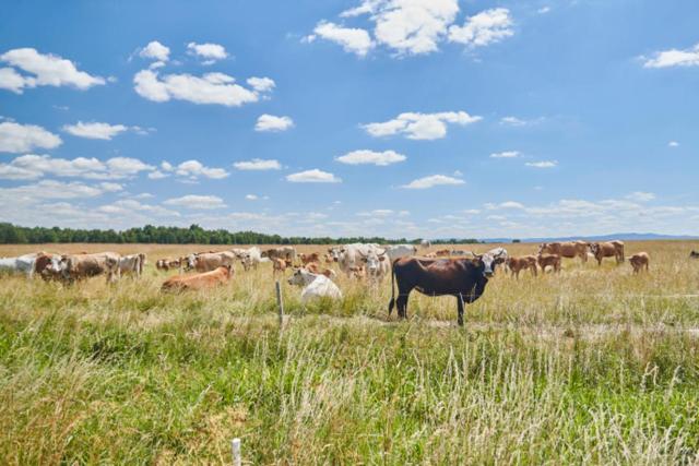Apartmány Selský dvůr