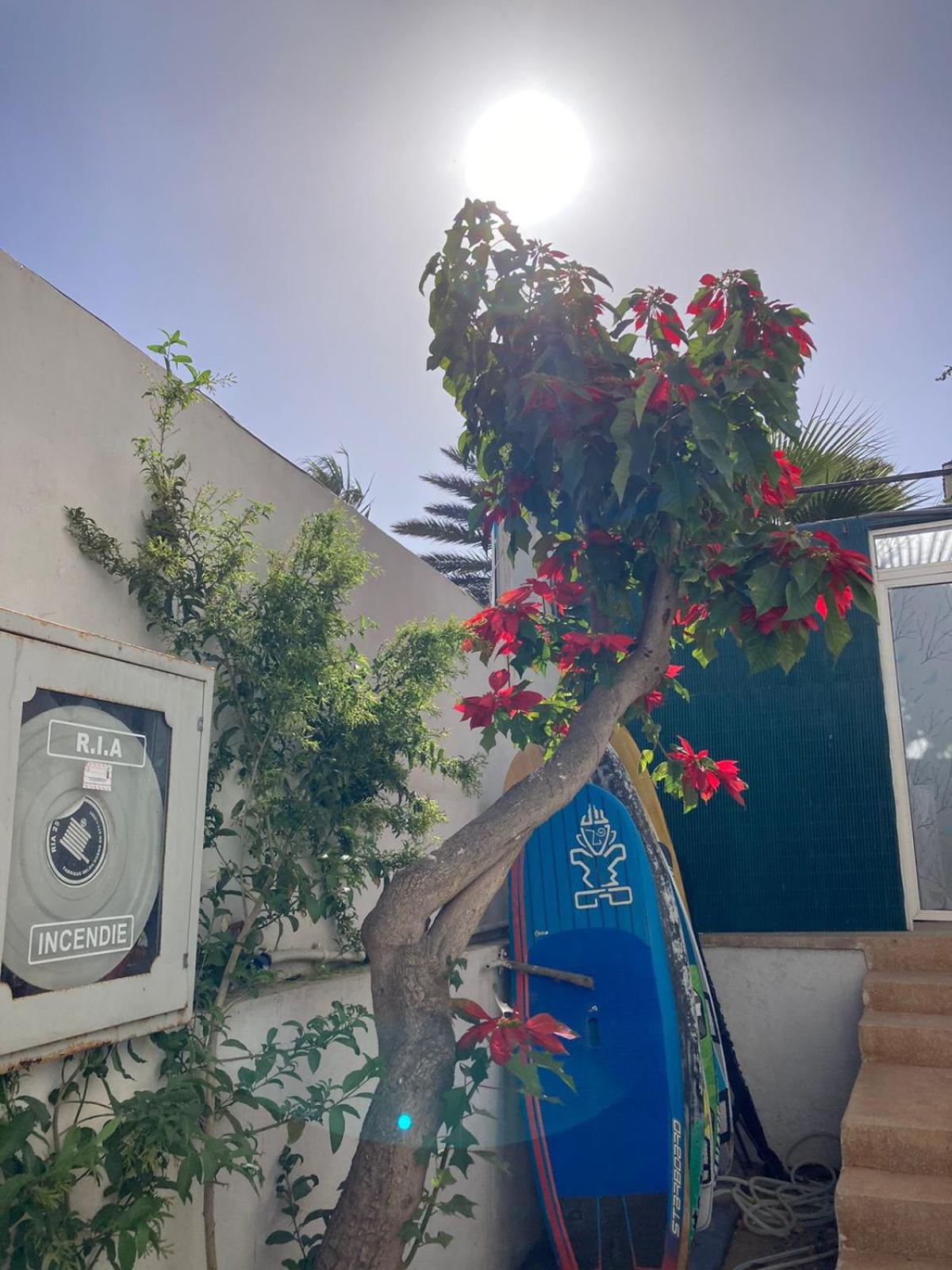 Yousurf Surf House