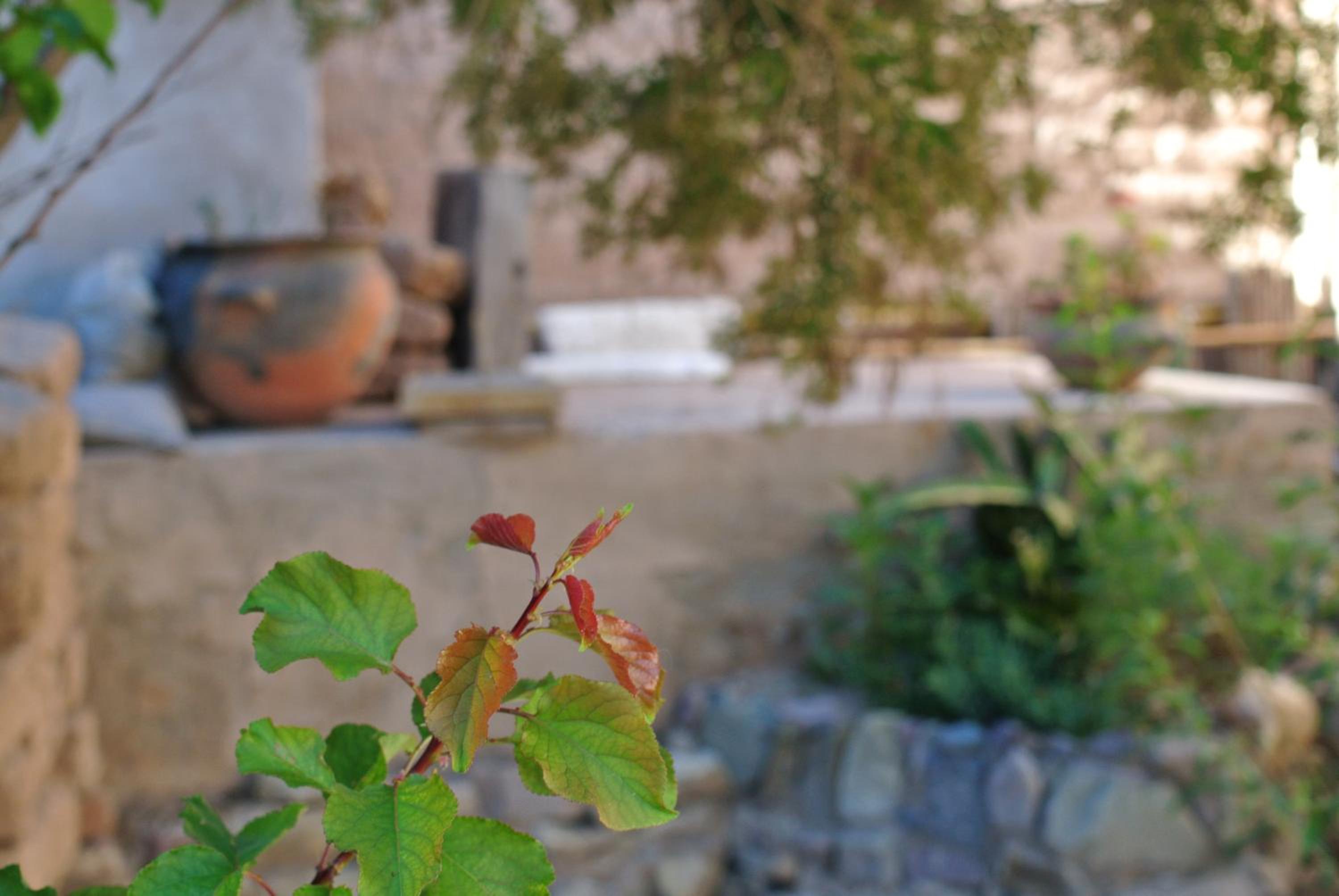 Refugio Del Pintor
