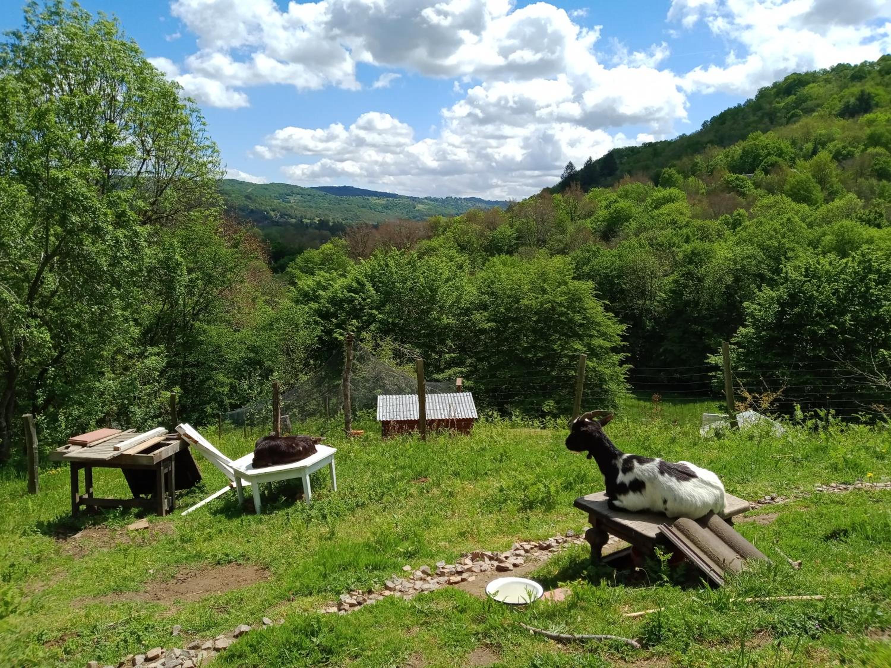 Photo 41