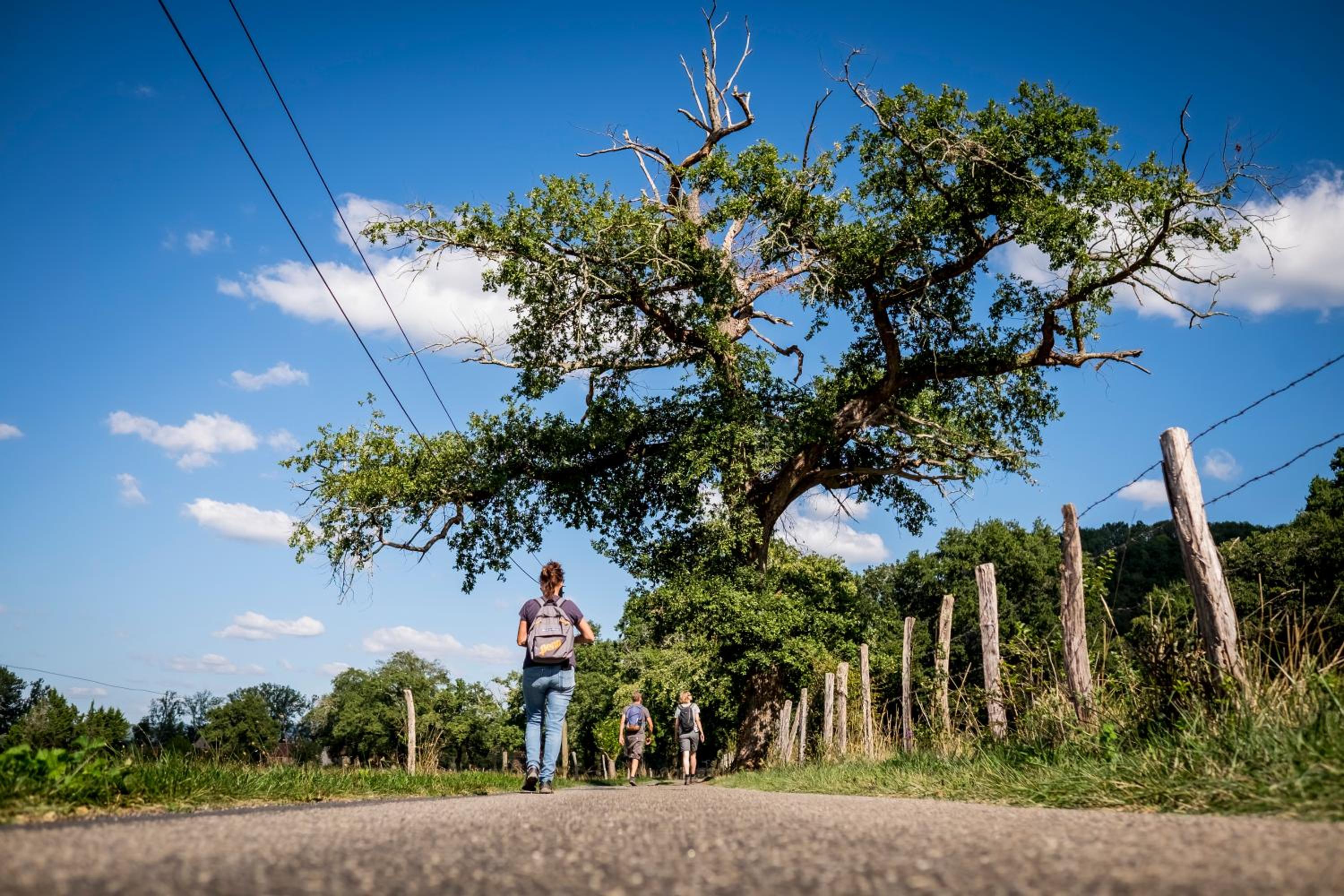 Photo 21