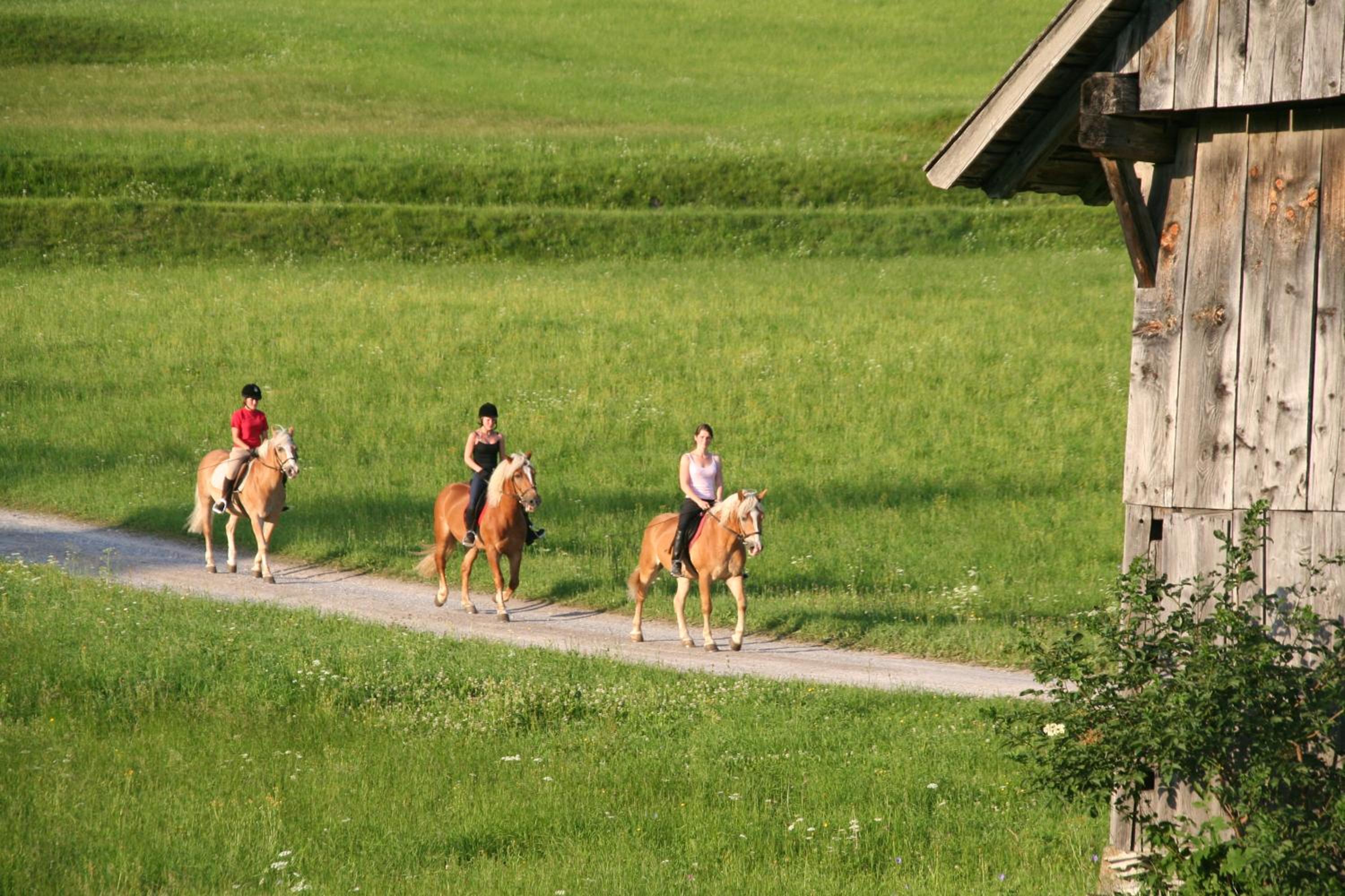 Ferienhof Obergasser und Bergblick