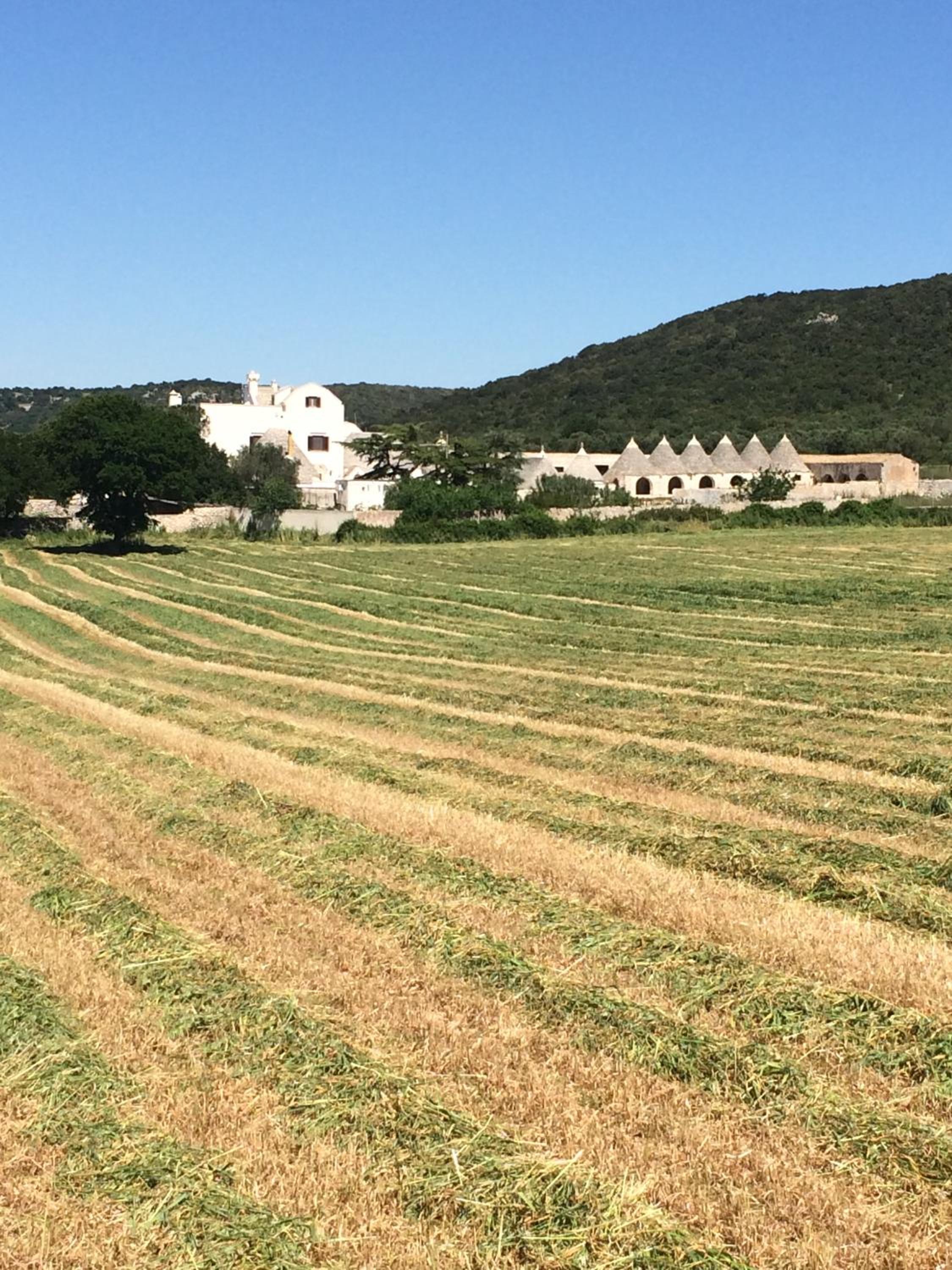 Masseria Pilano
