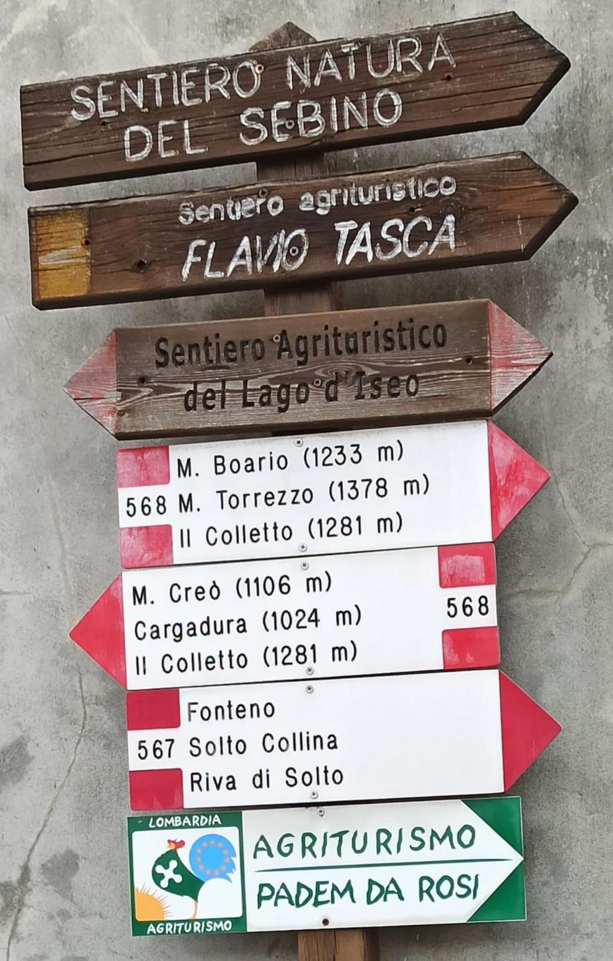 HOST4U - BLONDIE Aparment with Pool & Beautiful View on Iseo Lake