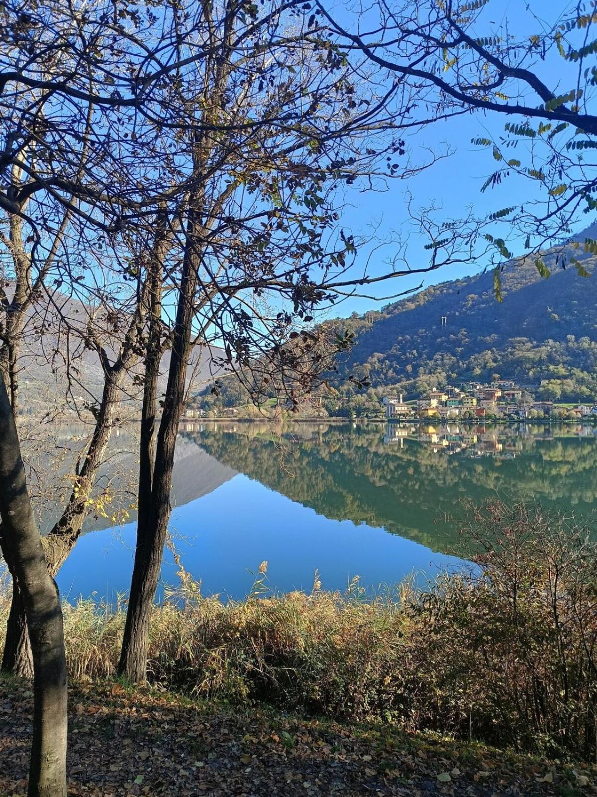 HOST4U - BLONDIE Aparment with Pool & Beautiful View on Iseo Lake