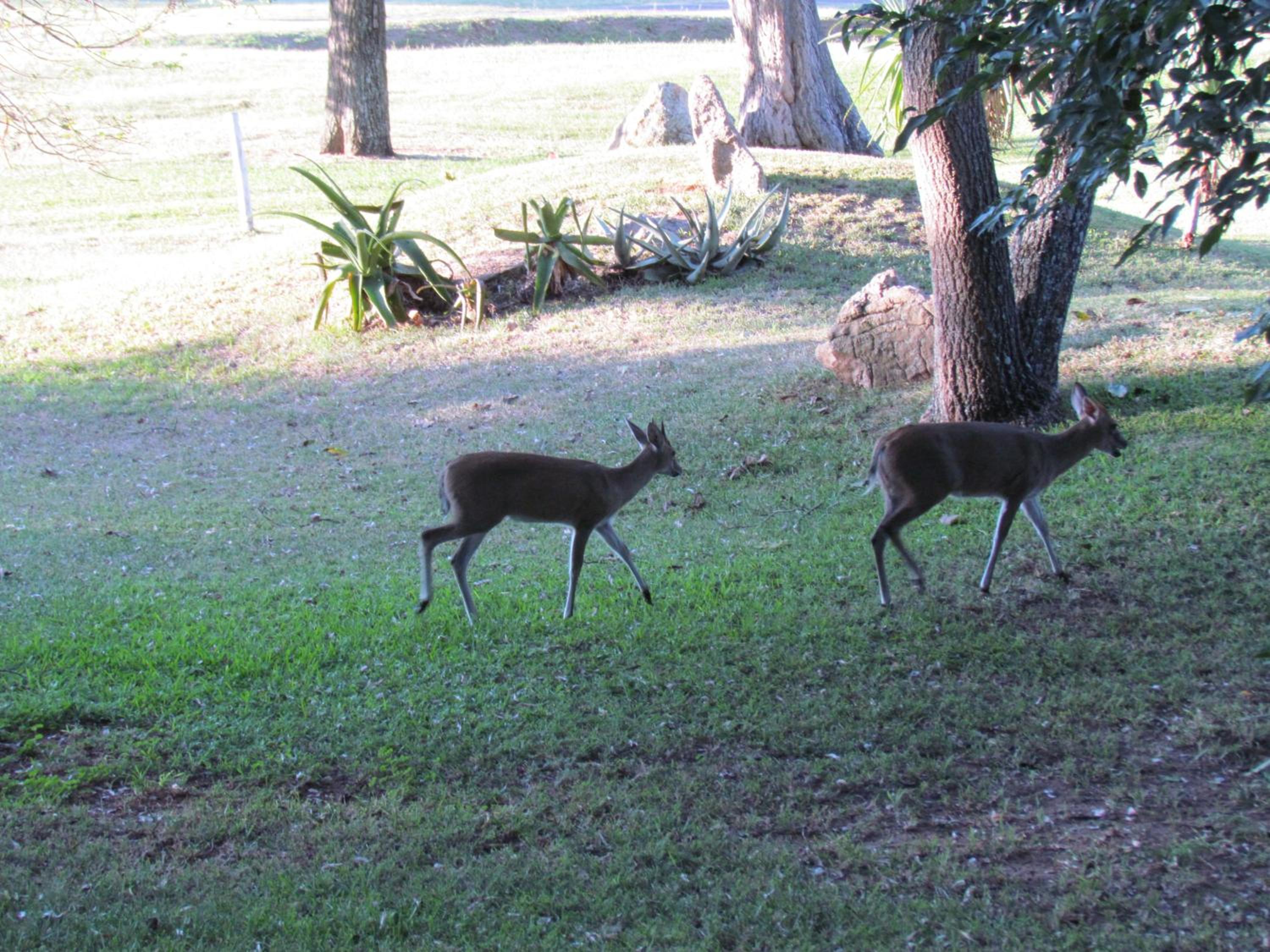 Matumi Golf Lodge