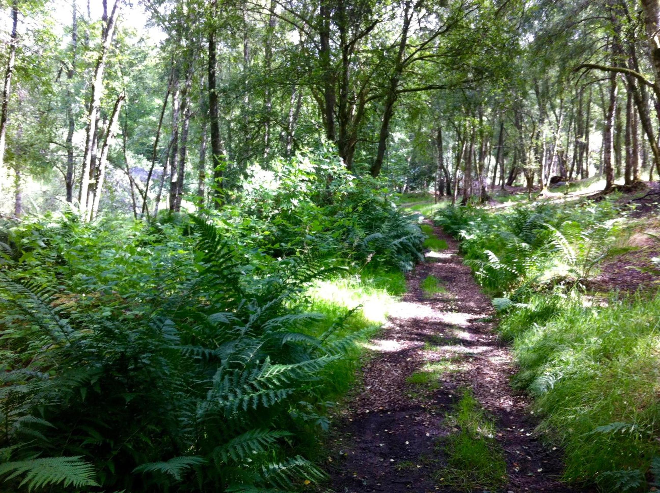 Bamff Ecotourism