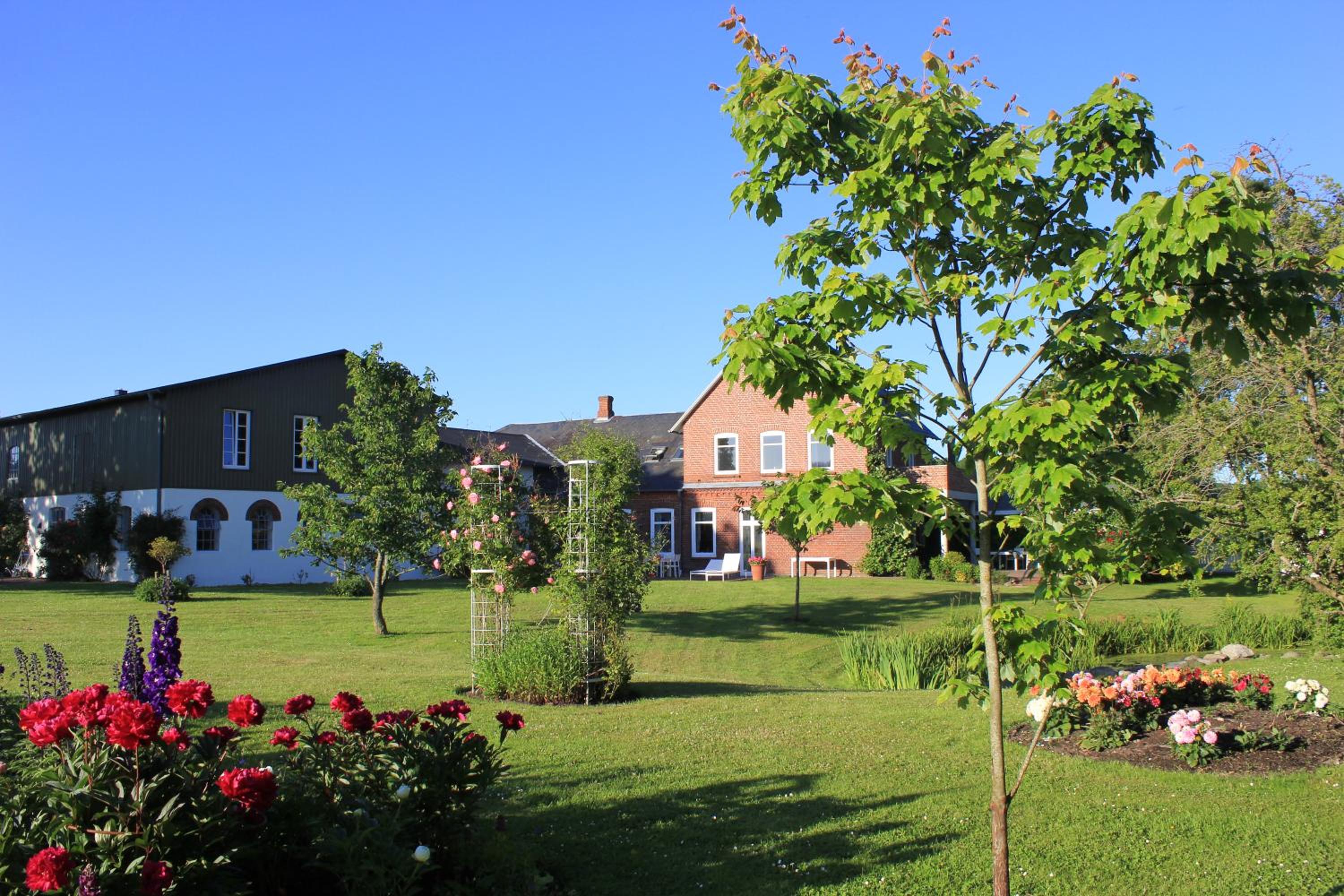 Photo 8