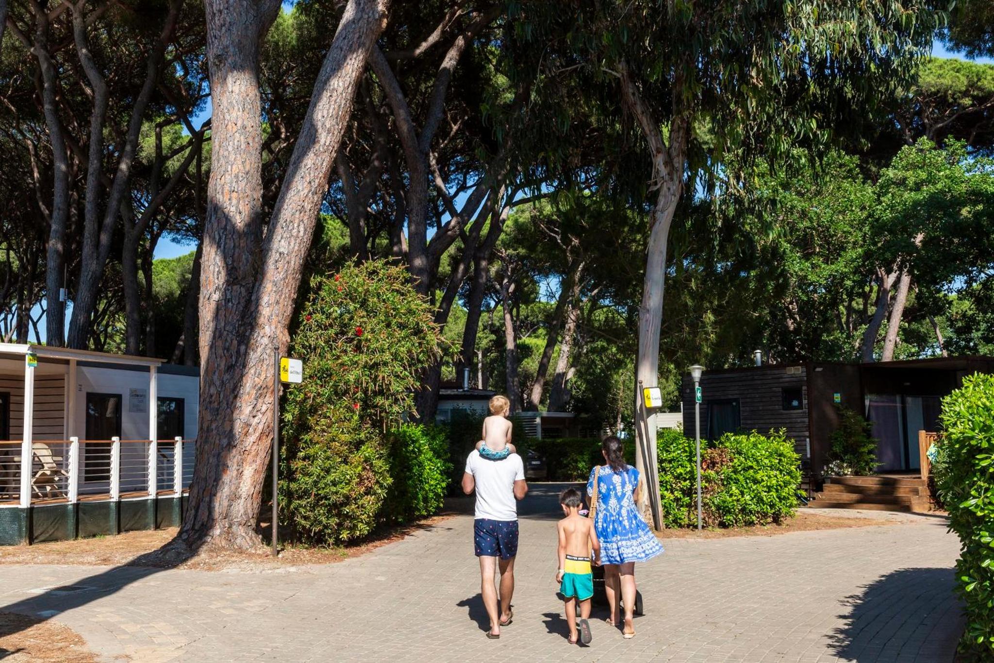 hu Park Albatros village