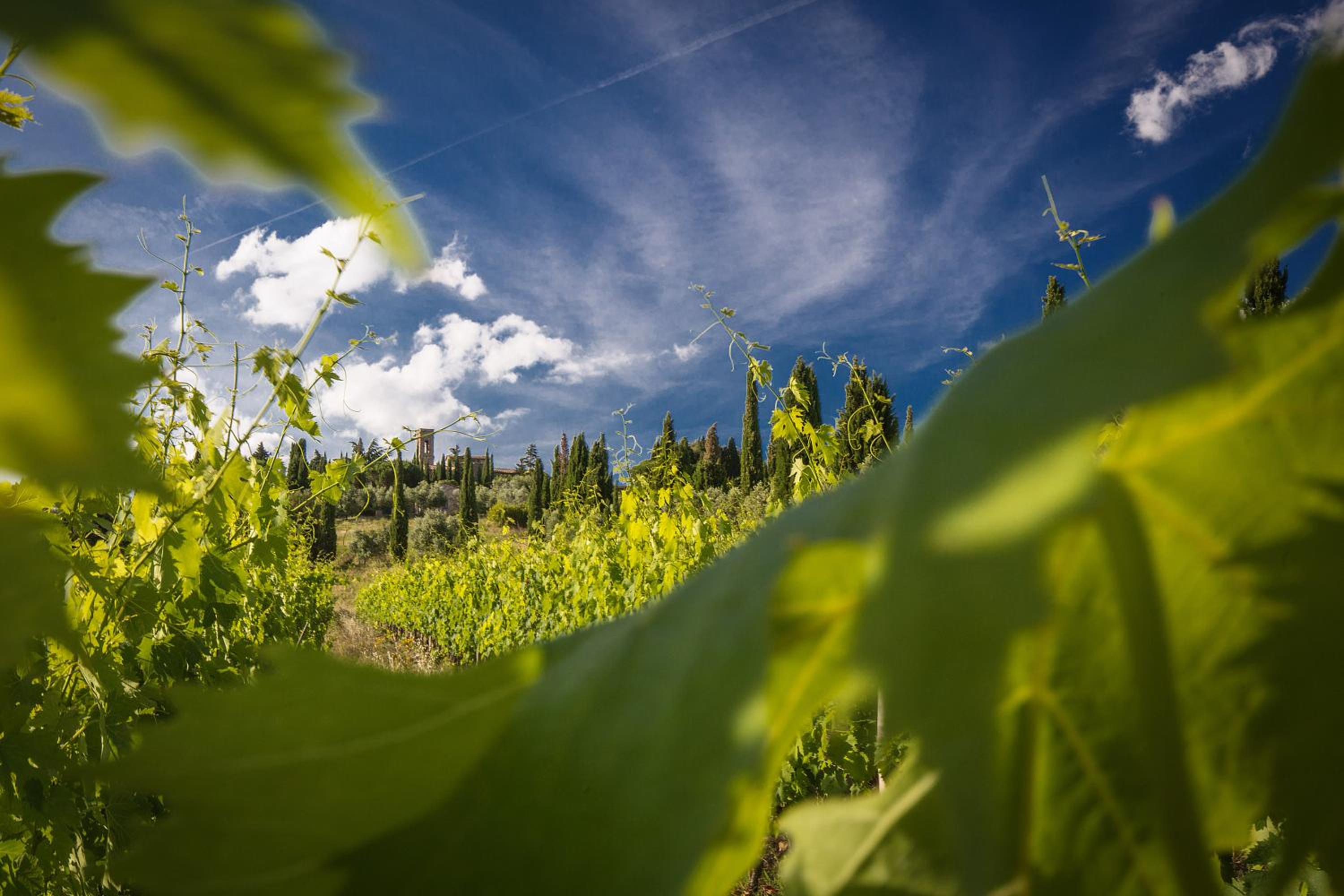 Castello di Volpaia