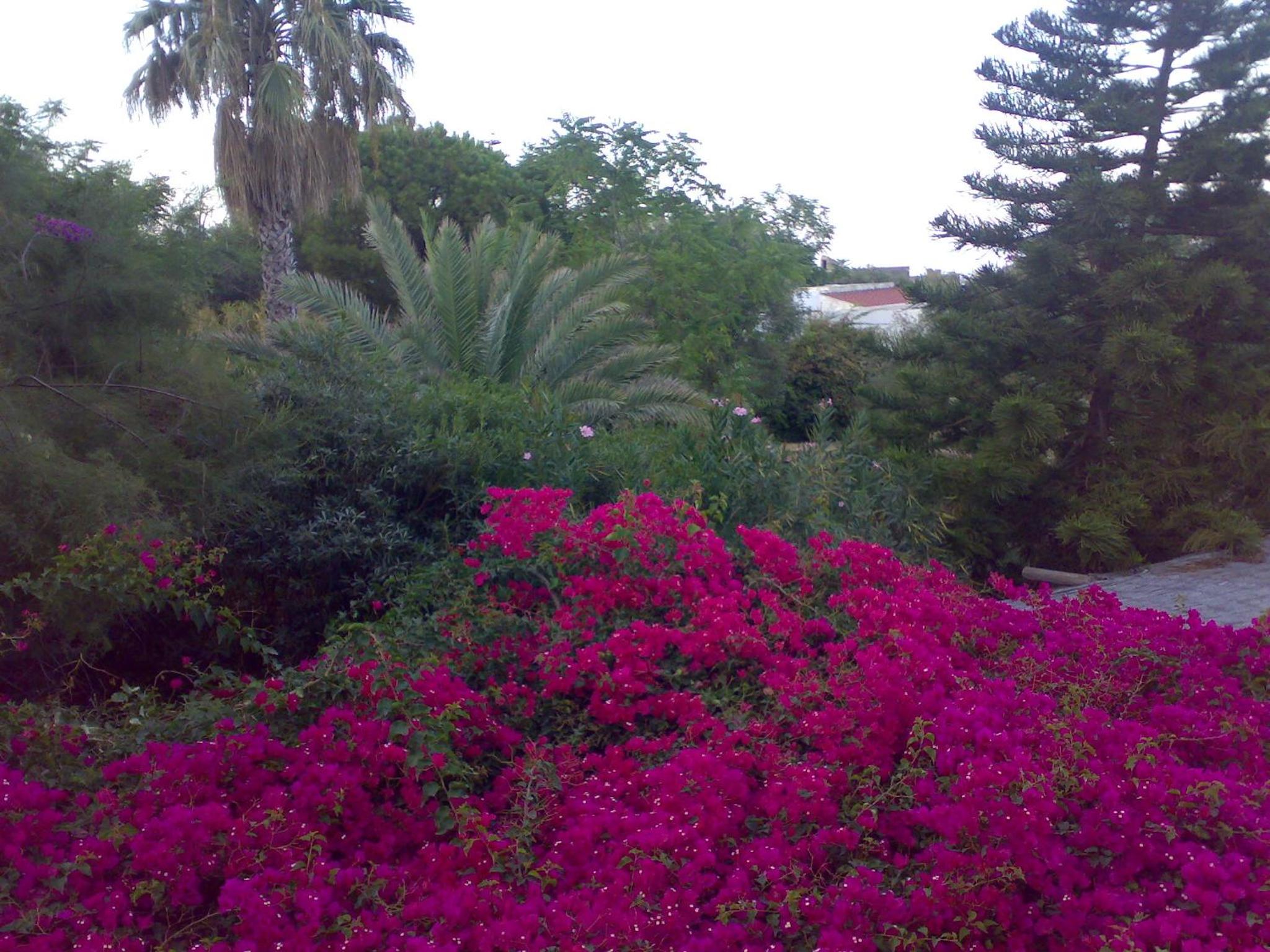 Photo 48