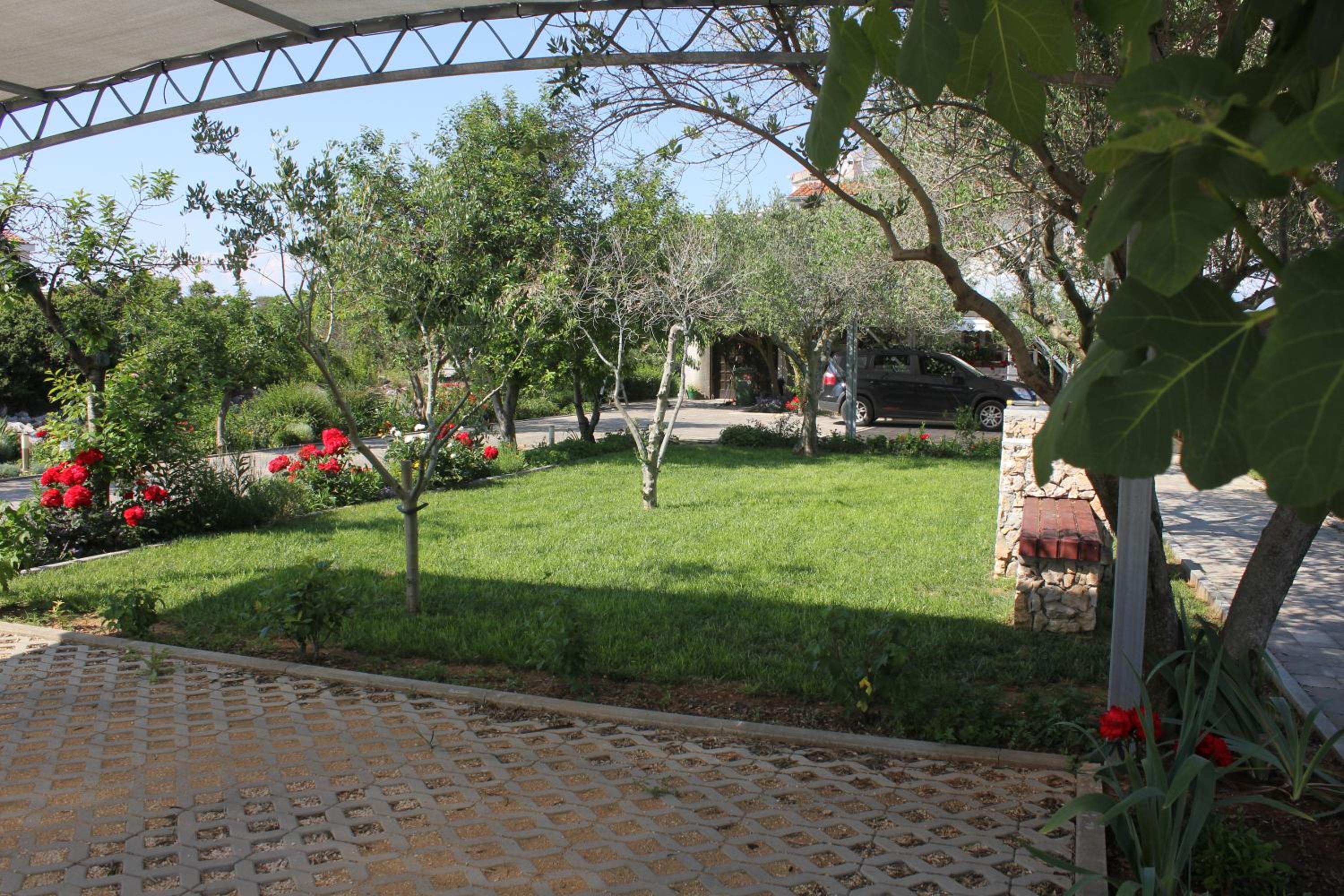 Photo 48