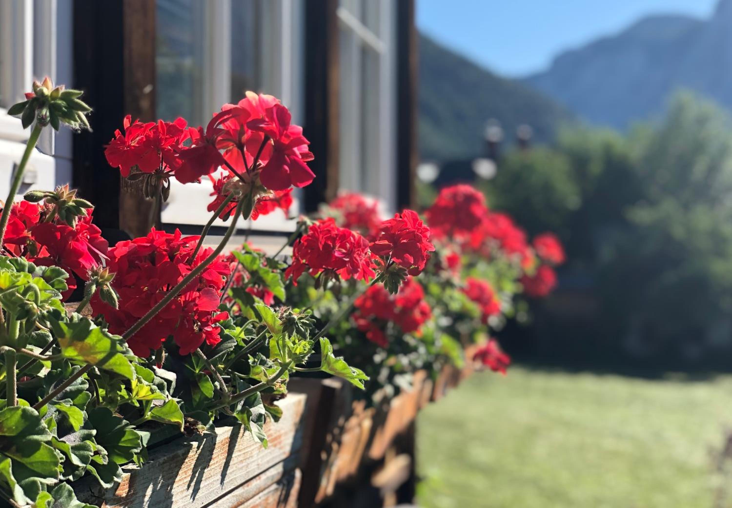 Villa Bellevue Altaussee