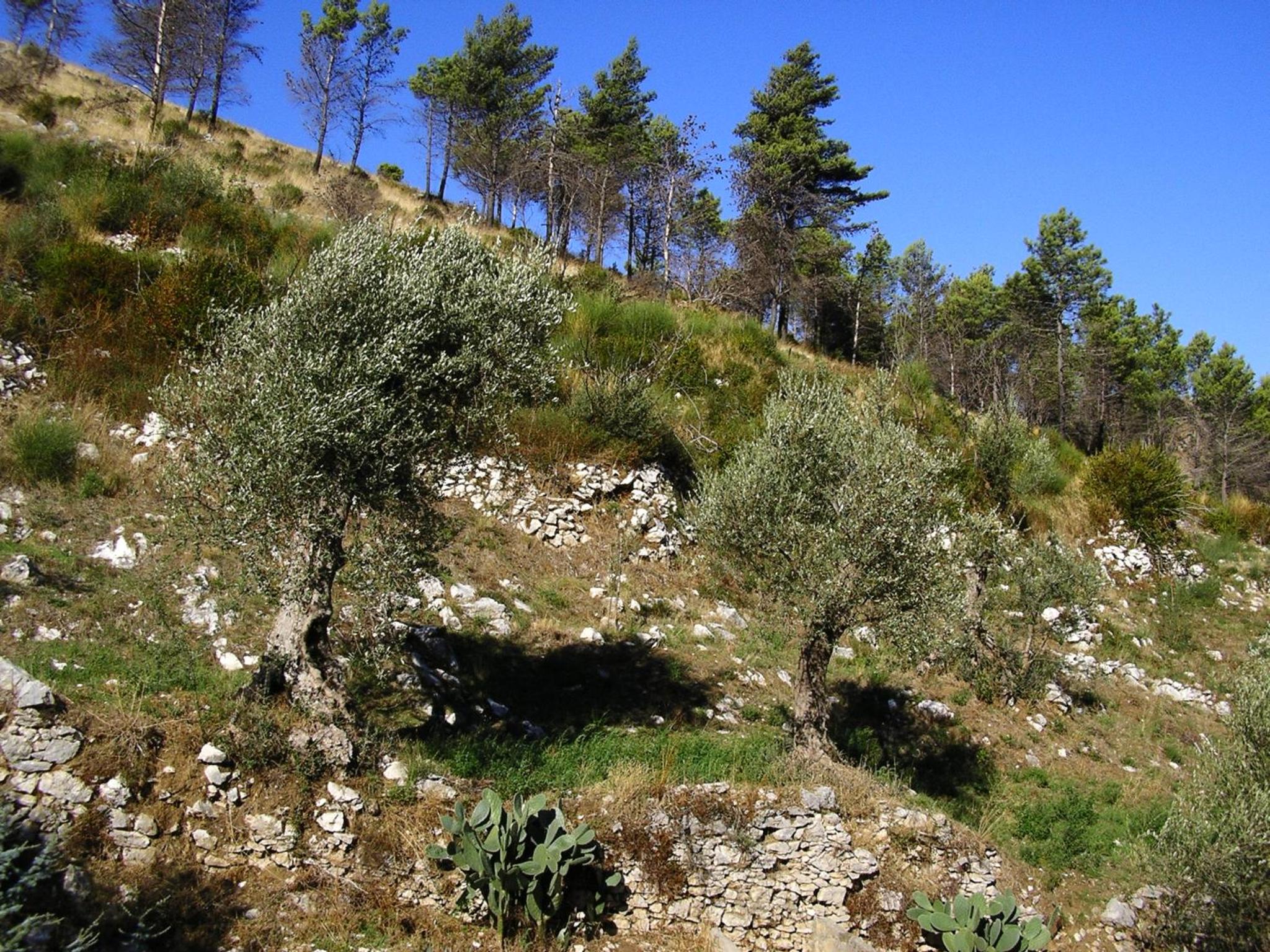 Sentieri Luminosi view 5